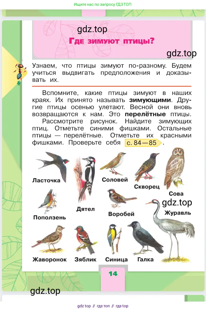 Окружающий мир, 1 класс Учебник, автор: Плешаков Андрей Анатольевич, издательство Просвещение, Москва, 2023, белого цвета, Часть 1, страница 14