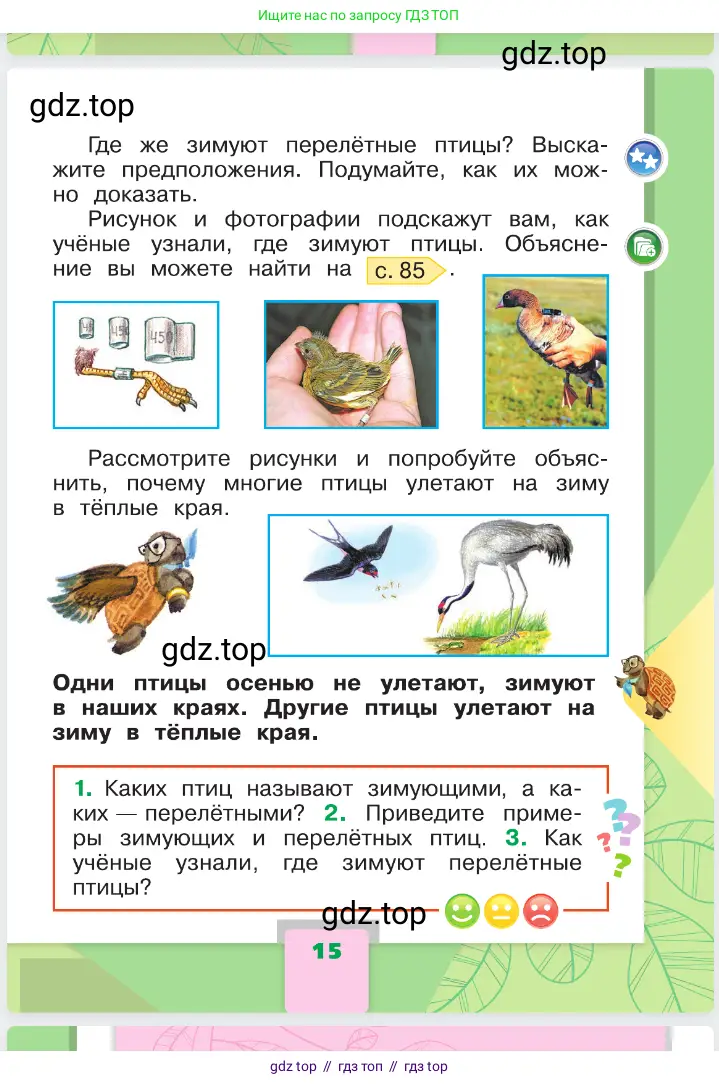 Окружающий мир, 1 класс Учебник, автор: Плешаков Андрей Анатольевич, издательство Просвещение, Москва, 2023, белого цвета, страница 15