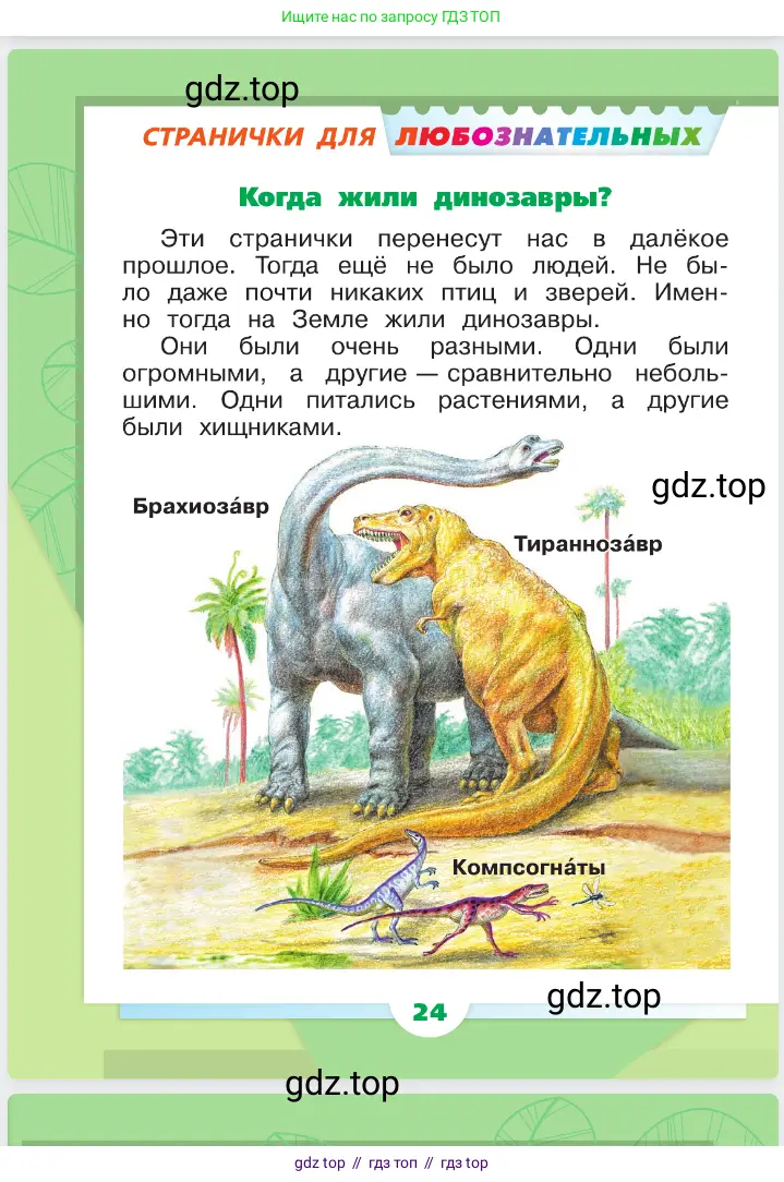 Окружающий мир, 1 класс Учебник, автор: Плешаков Андрей Анатольевич, издательство Просвещение, Москва, 2023, белого цвета, Часть 1, страница 24