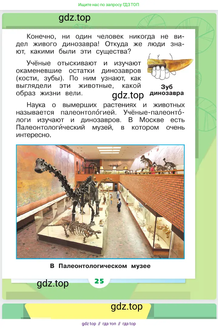 Окружающий мир, 1 класс Учебник, автор: Плешаков Андрей Анатольевич, издательство Просвещение, Москва, 2023, белого цвета, страница 25