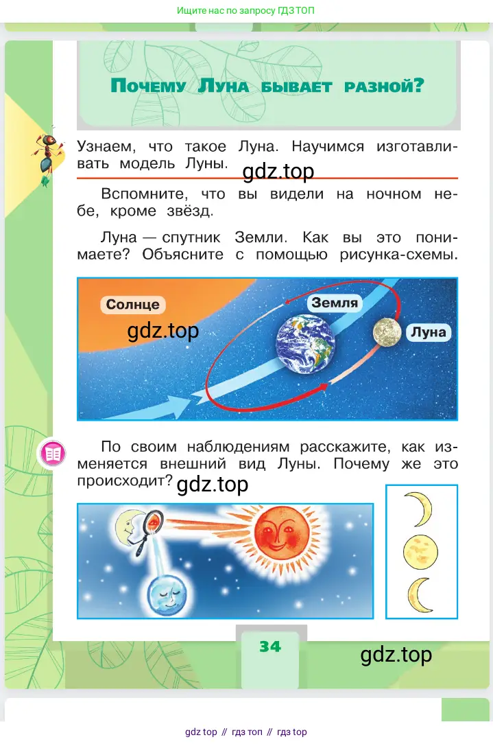 Окружающий мир, 1 класс Учебник, автор: Плешаков Андрей Анатольевич, издательство Просвещение, Москва, 2023, белого цвета, Часть 1, страница 34