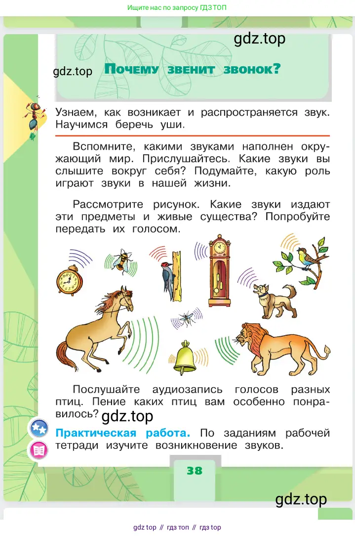 Окружающий мир, 1 класс Учебник, автор: Плешаков Андрей Анатольевич, издательство Просвещение, Москва, 2023, белого цвета, Часть 1, страница 38