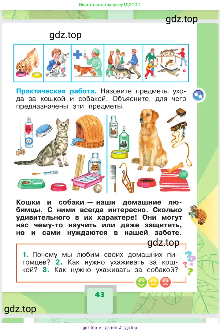 Окружающий мир, 1 класс Учебник, автор: Плешаков Андрей Анатольевич, издательство Просвещение, Москва, 2023, белого цвета, страница 43