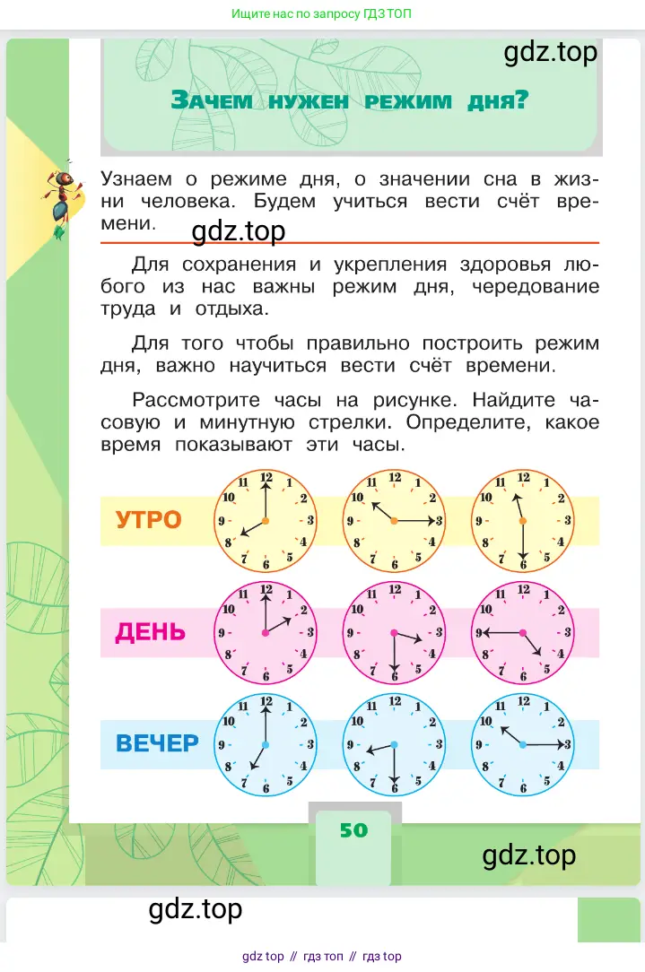 Окружающий мир, 1 класс Учебник, автор: Плешаков Андрей Анатольевич, издательство Просвещение, Москва, 2023, белого цвета, Часть 1, страница 50