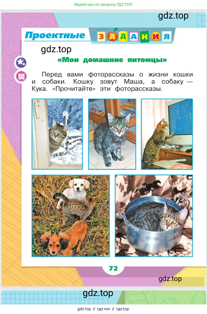 Окружающий мир, 1 класс Учебник, автор: Плешаков Андрей Анатольевич, издательство Просвещение, Москва, 2023, белого цвета, Часть 1, страница 72