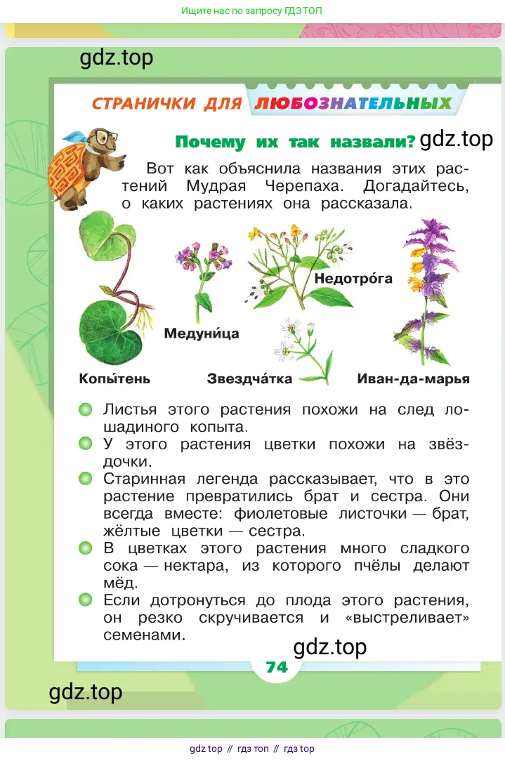 Окружающий мир, 1 класс Учебник, автор: Плешаков Андрей Анатольевич, издательство Просвещение, Москва, 2023, белого цвета, Часть 1, страница 74