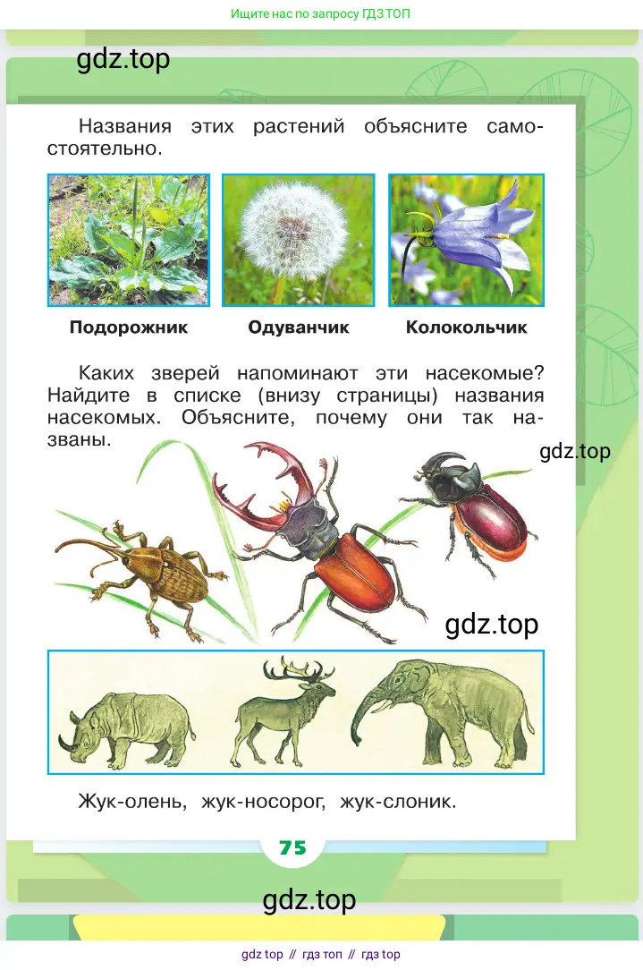 Окружающий мир, 1 класс Учебник, автор: Плешаков Андрей Анатольевич, издательство Просвещение, Москва, 2023, белого цвета, страница 75
