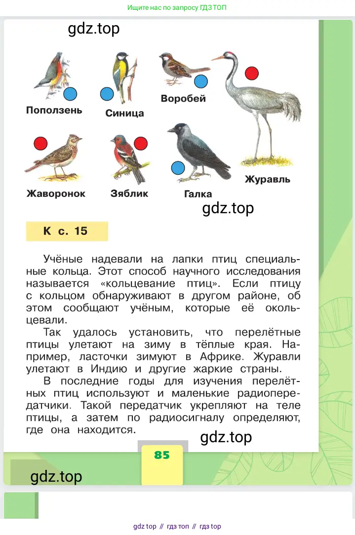 Окружающий мир, 1 класс Учебник, автор: Плешаков Андрей Анатольевич, издательство Просвещение, Москва, 2023, белого цвета, страница 85