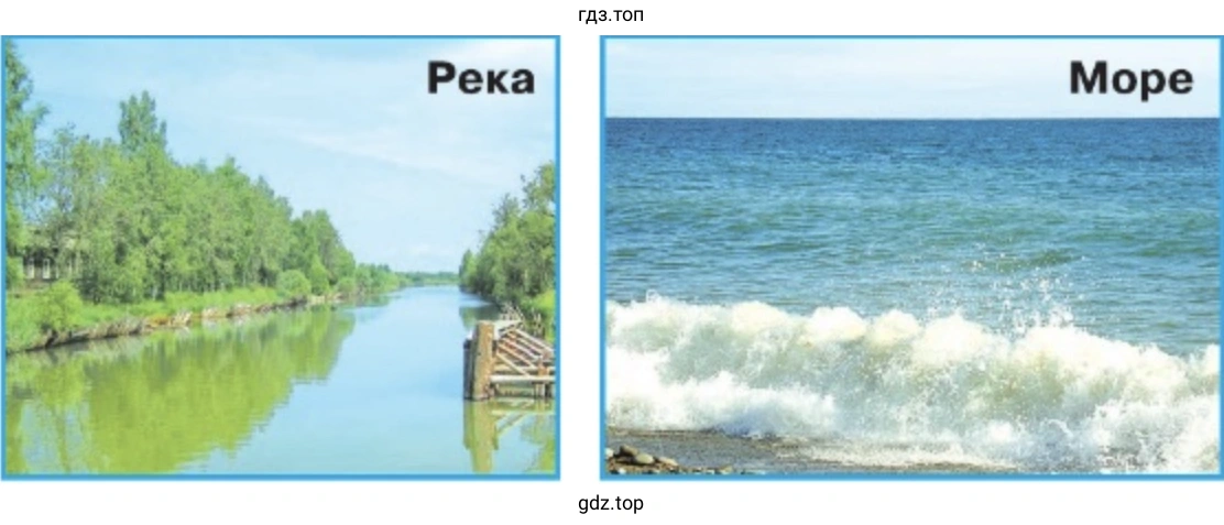 Сравните реку и море