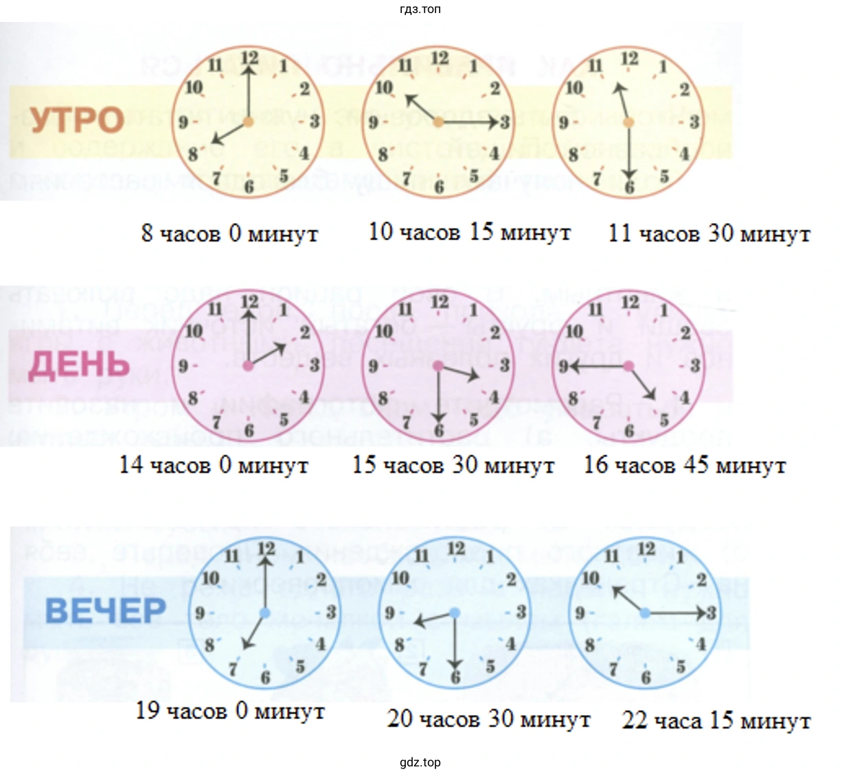 Найдите часовую и минутную стрелки