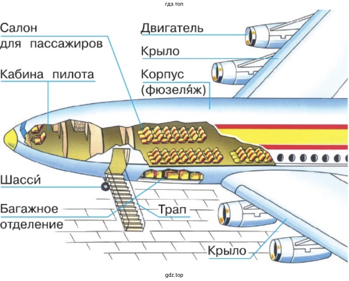 Назовите части самолёта