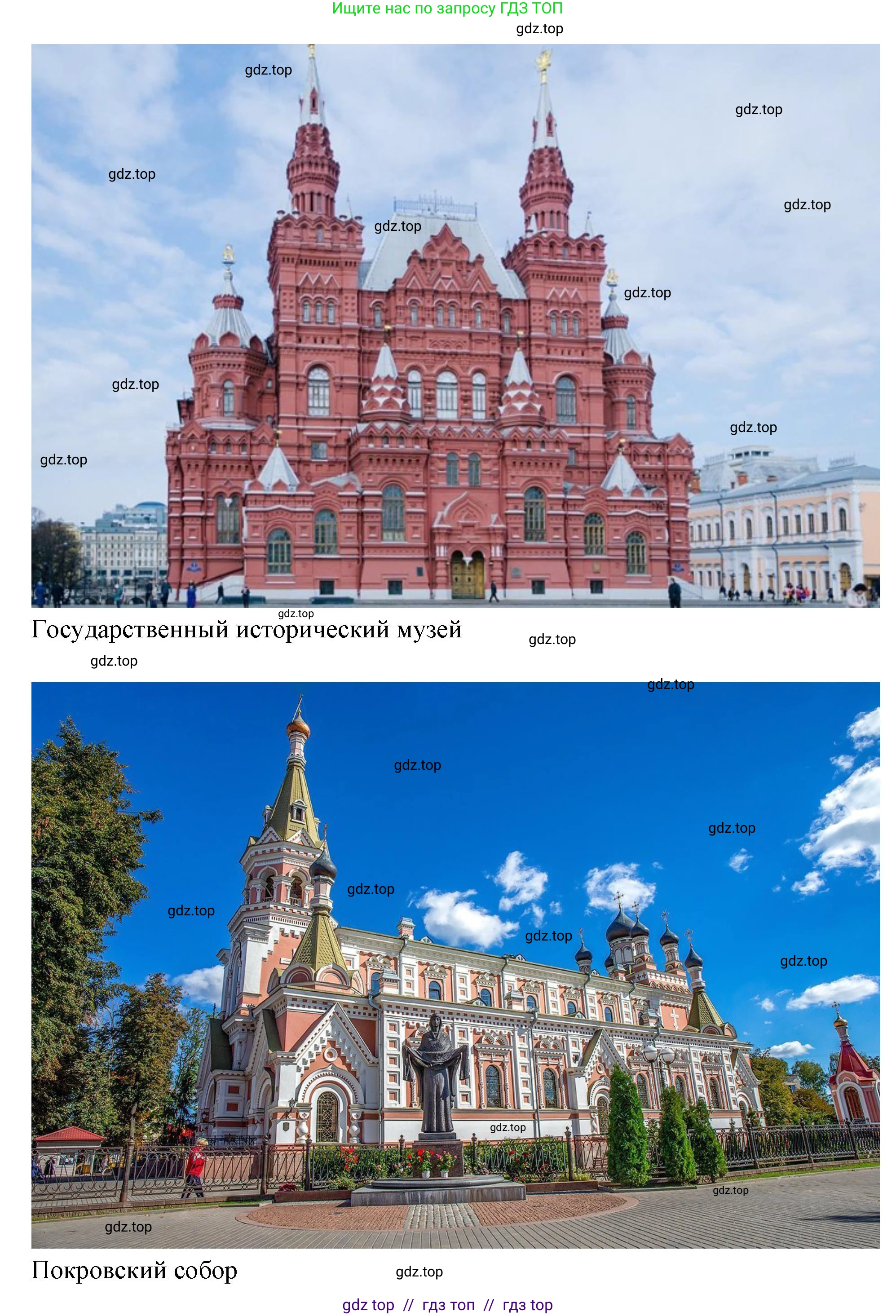 Окружающий мир, 1 класс Учебник, автор: Плешаков Андрей Анатольевич, издательство Просвещение, Москва, 2023, белого цвета, Часть 1, страница 14, Решение 2 (продолжение 7)