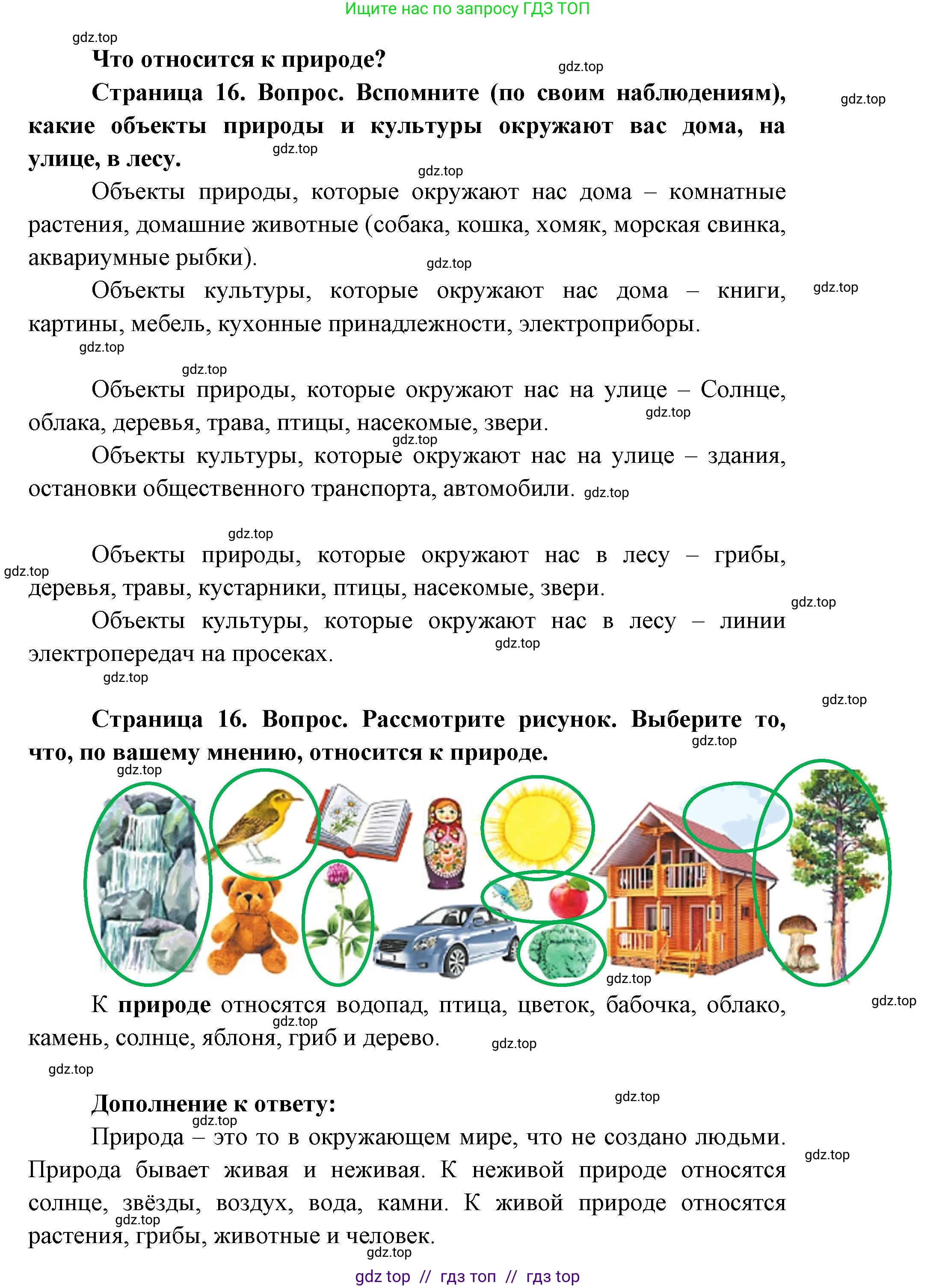 Окружающий мир, 1 класс Учебник, автор: Плешаков Андрей Анатольевич, издательство Просвещение, Москва, 2023, белого цвета, Часть 1, страница 16, Решение 2