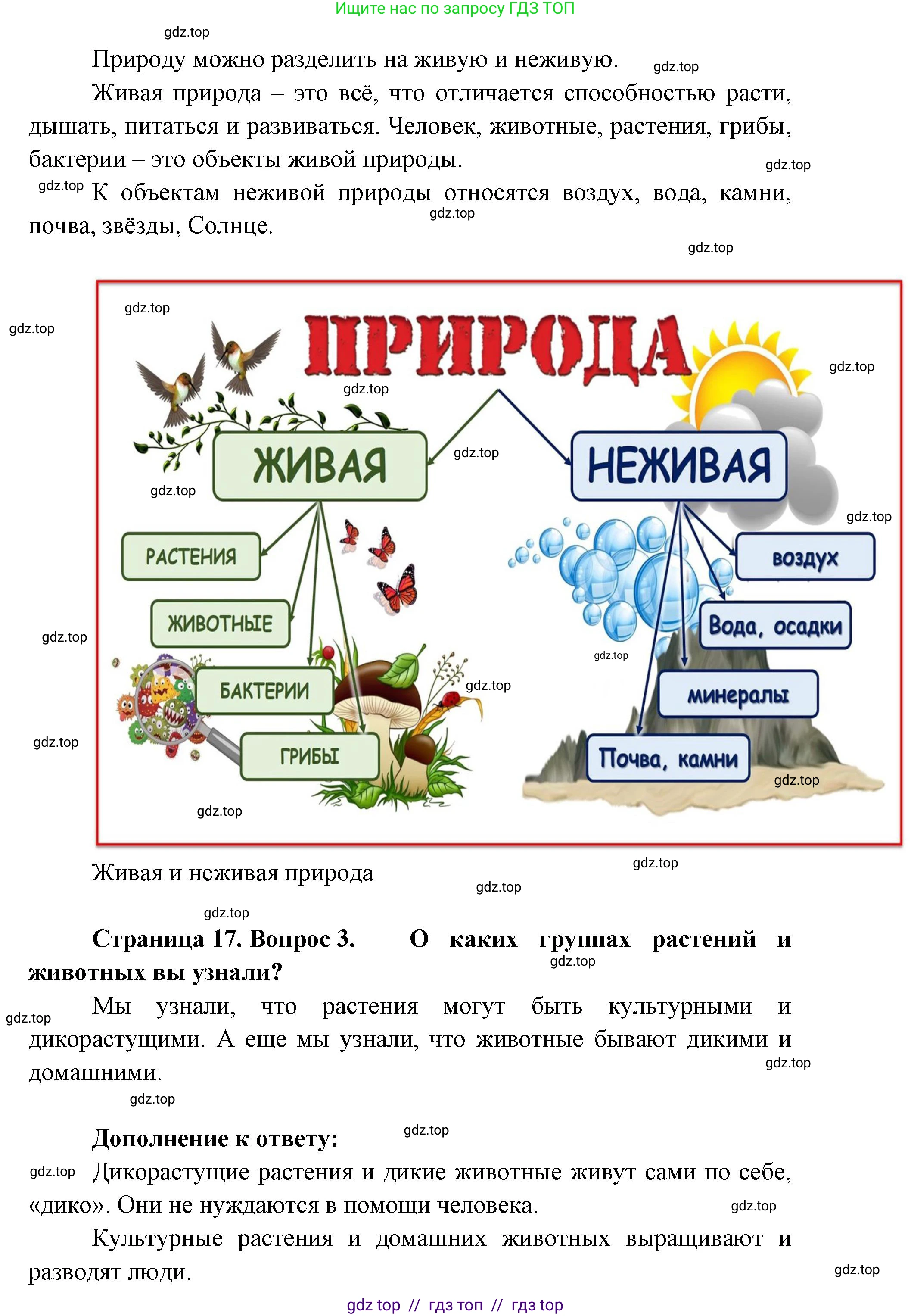Окружающий мир, 1 класс Учебник, автор: Плешаков Андрей Анатольевич, издательство Просвещение, Москва, 2023, белого цвета, Часть 1, страница 16, Решение 2 (продолжение 3)