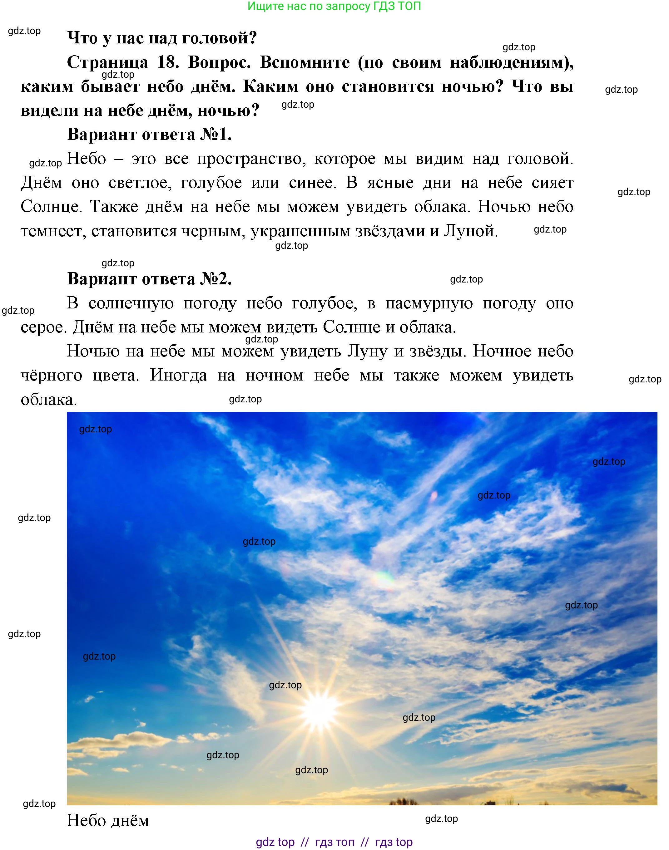 Окружающий мир, 1 класс Учебник, автор: Плешаков Андрей Анатольевич, издательство Просвещение, Москва, 2023, белого цвета, Часть 1, страница 18, Решение 2