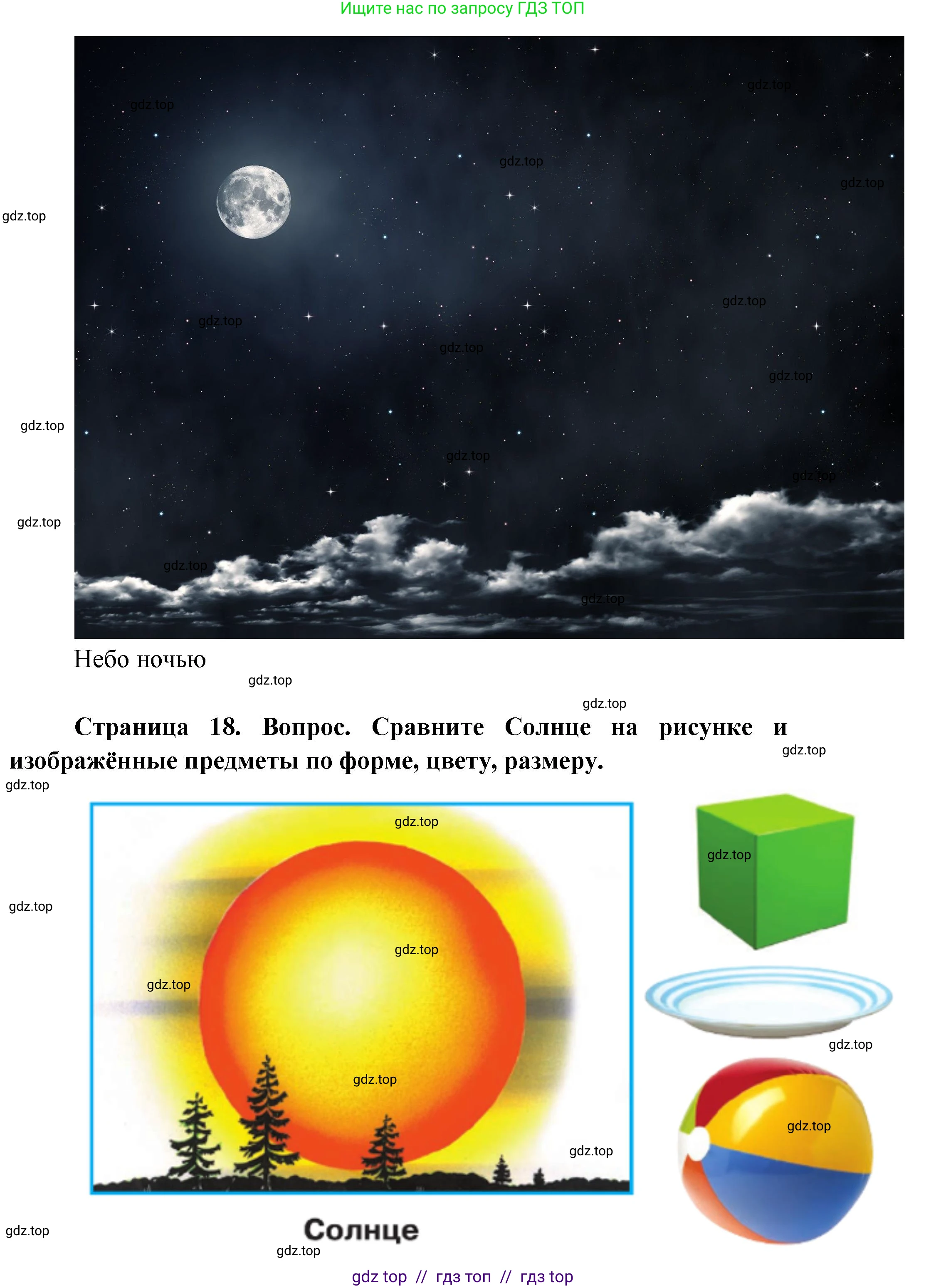 Окружающий мир, 1 класс Учебник, автор: Плешаков Андрей Анатольевич, издательство Просвещение, Москва, 2023, белого цвета, Часть 1, страница 18, Решение 2 (продолжение 2)