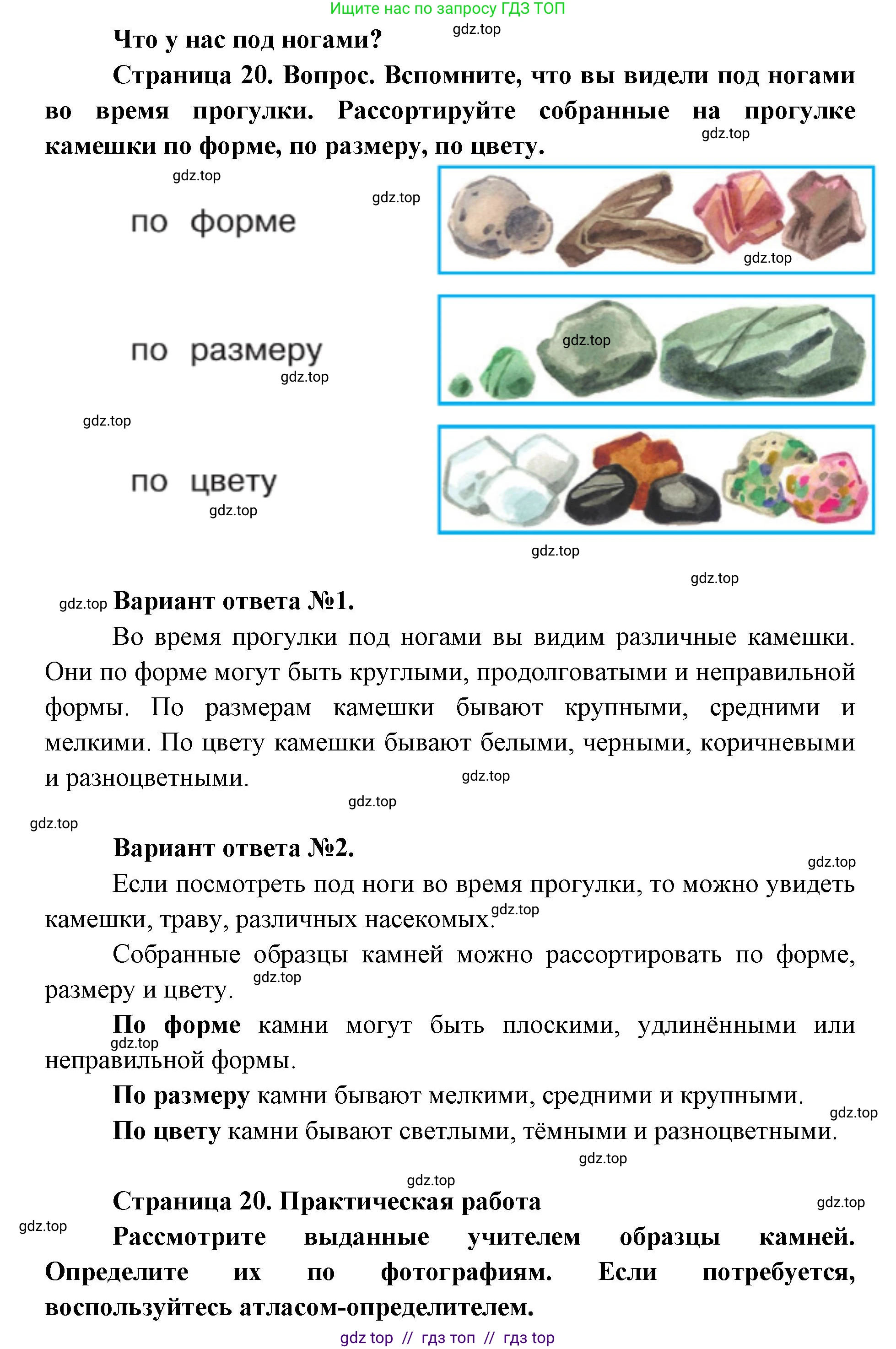 Окружающий мир, 1 класс Учебник, автор: Плешаков Андрей Анатольевич, издательство Просвещение, Москва, 2023, белого цвета, Часть 1, страница 20, Решение 2
