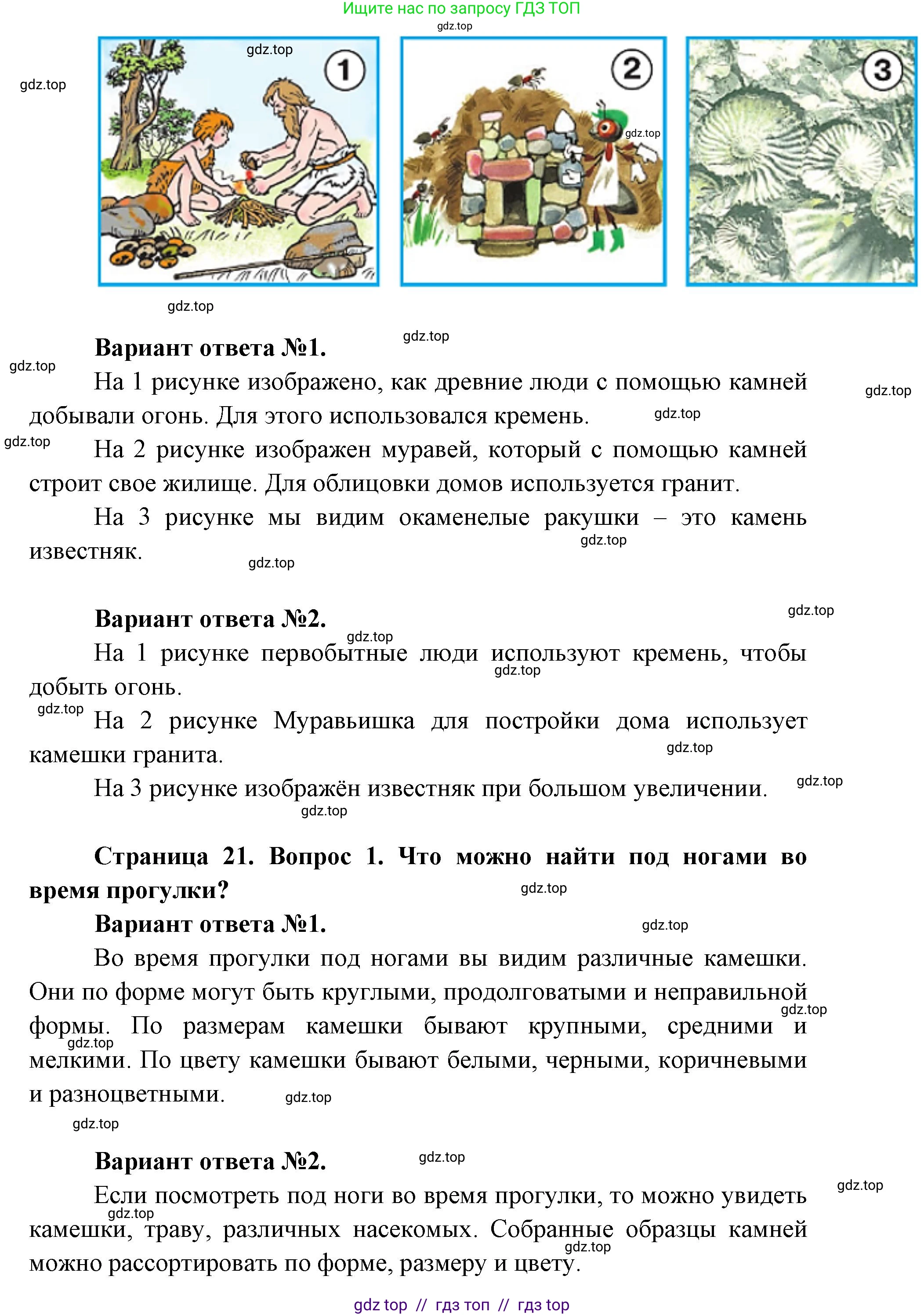 Окружающий мир, 1 класс Учебник, автор: Плешаков Андрей Анатольевич, издательство Просвещение, Москва, 2023, белого цвета, Часть 1, страница 20, Решение 2 (продолжение 3)