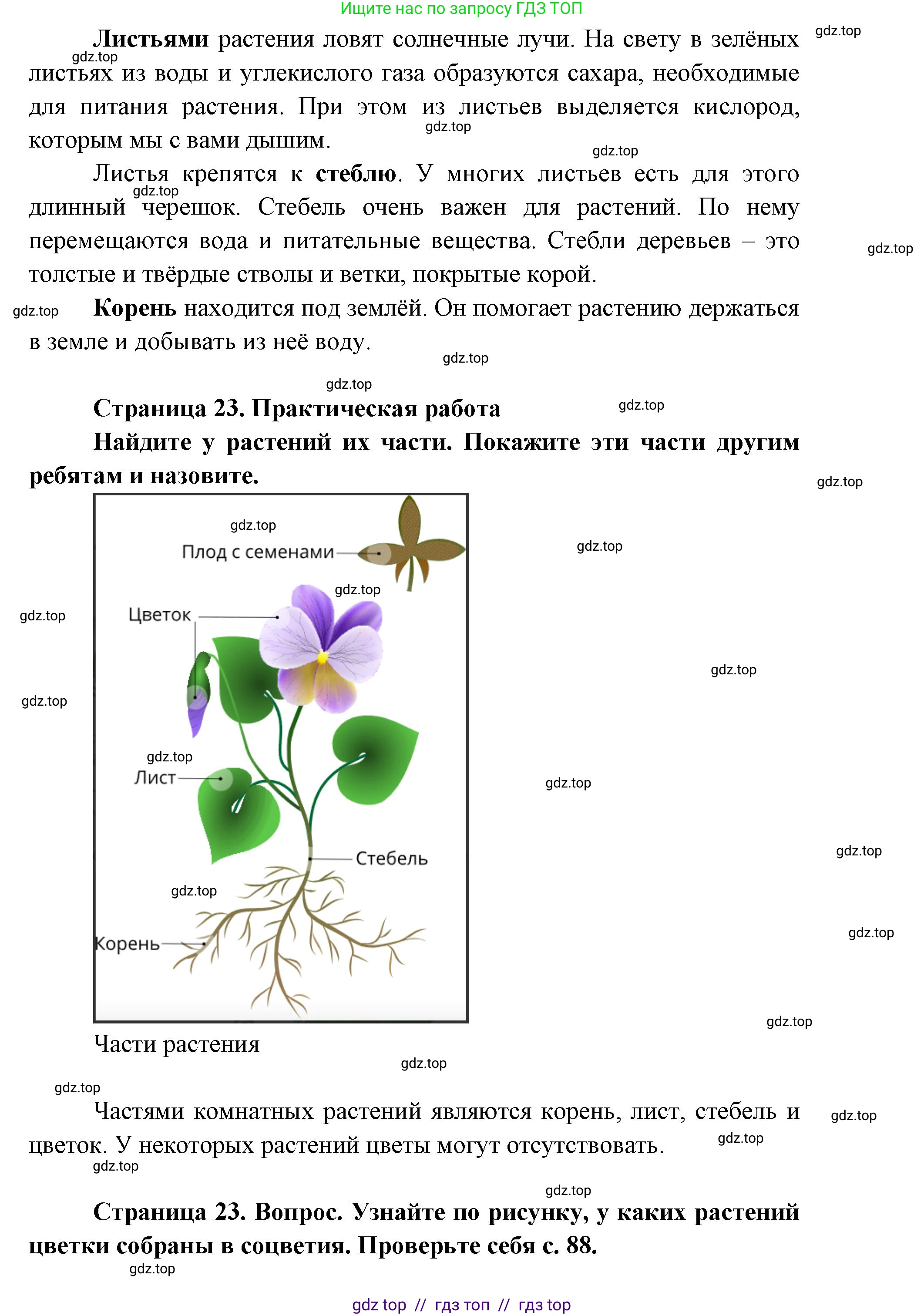 Окружающий мир, 1 класс Учебник, автор: Плешаков Андрей Анатольевич, издательство Просвещение, Москва, 2023, белого цвета, Часть 1, страница 22, Решение 2 (продолжение 3)