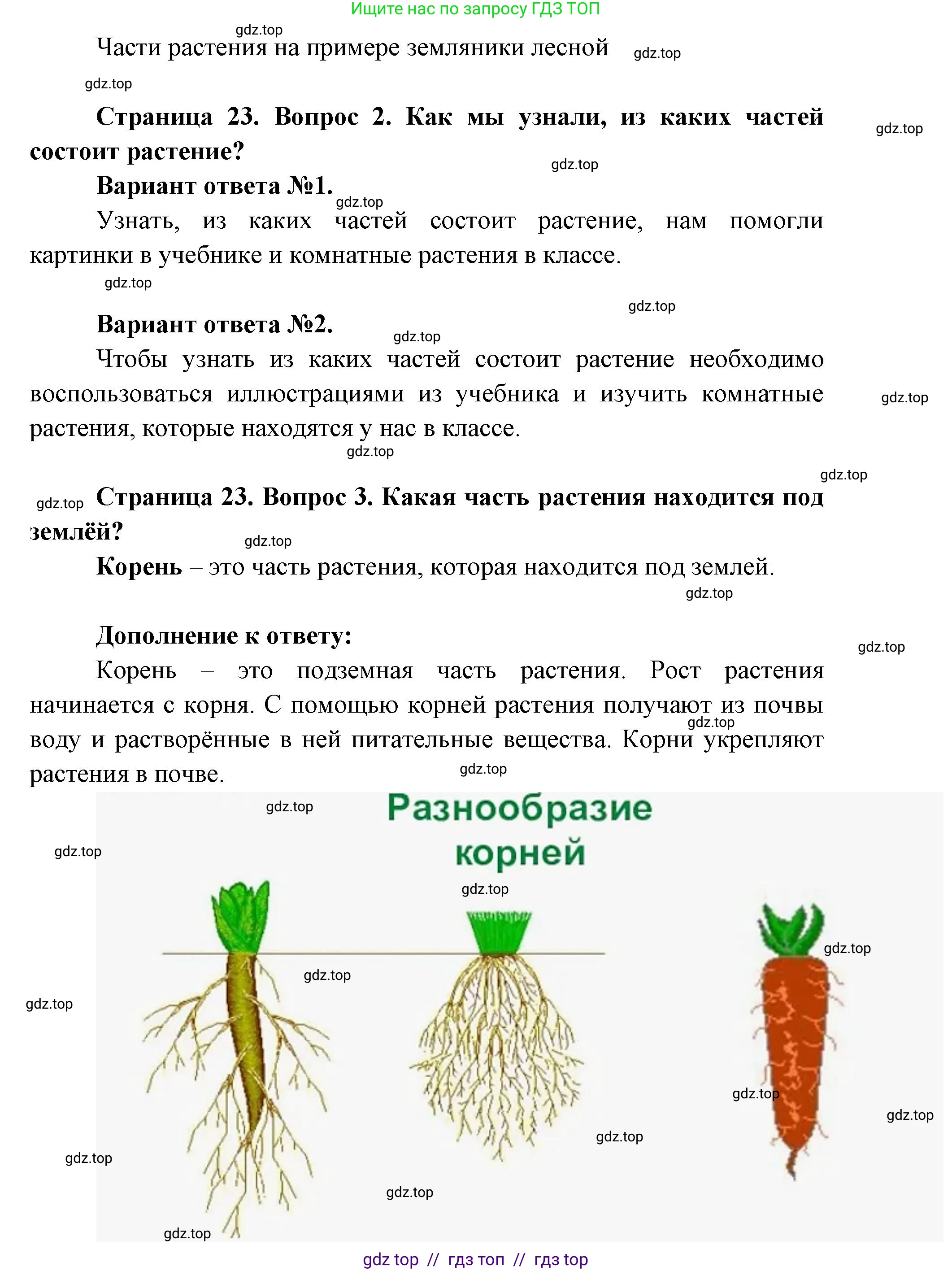Окружающий мир, 1 класс Учебник, автор: Плешаков Андрей Анатольевич, издательство Просвещение, Москва, 2023, белого цвета, Часть 1, страница 22, Решение 2 (продолжение 5)