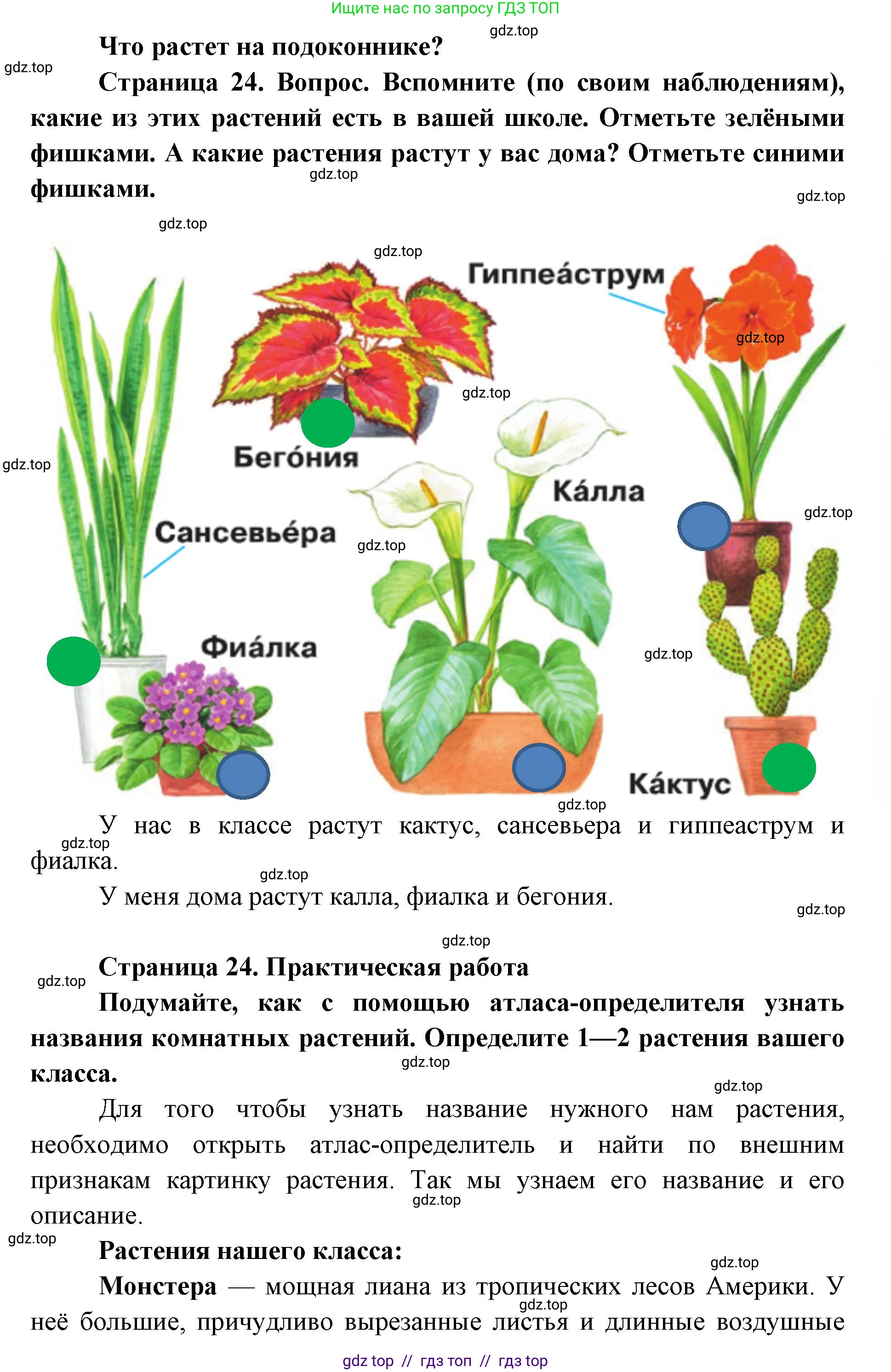 Окружающий мир, 1 класс Учебник, автор: Плешаков Андрей Анатольевич, издательство Просвещение, Москва, 2023, белого цвета, Часть 1, страница 24, Решение 2