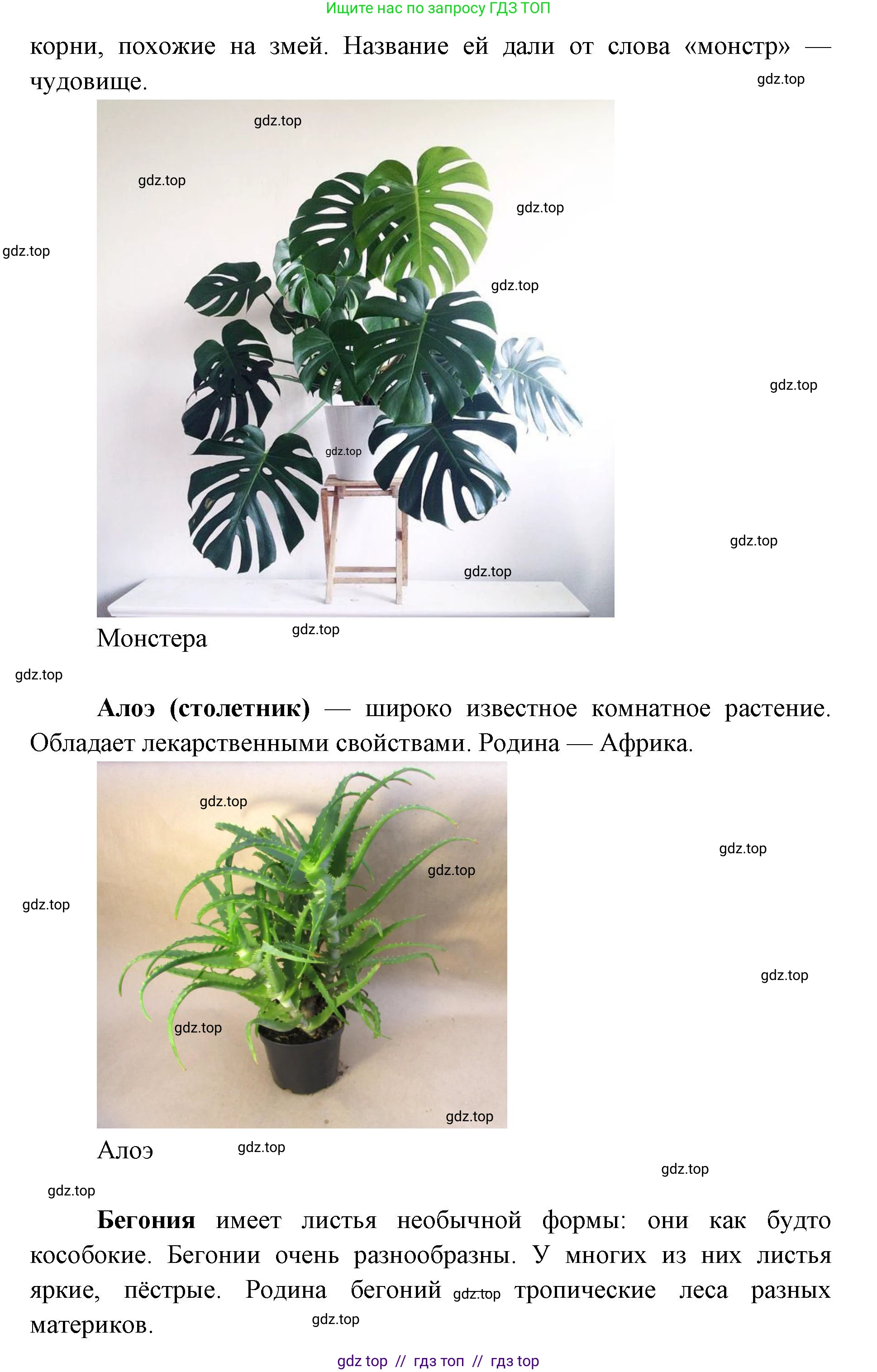 Окружающий мир, 1 класс Учебник, автор: Плешаков Андрей Анатольевич, издательство Просвещение, Москва, 2023, белого цвета, Часть 1, страница 24, Решение 2 (продолжение 2)