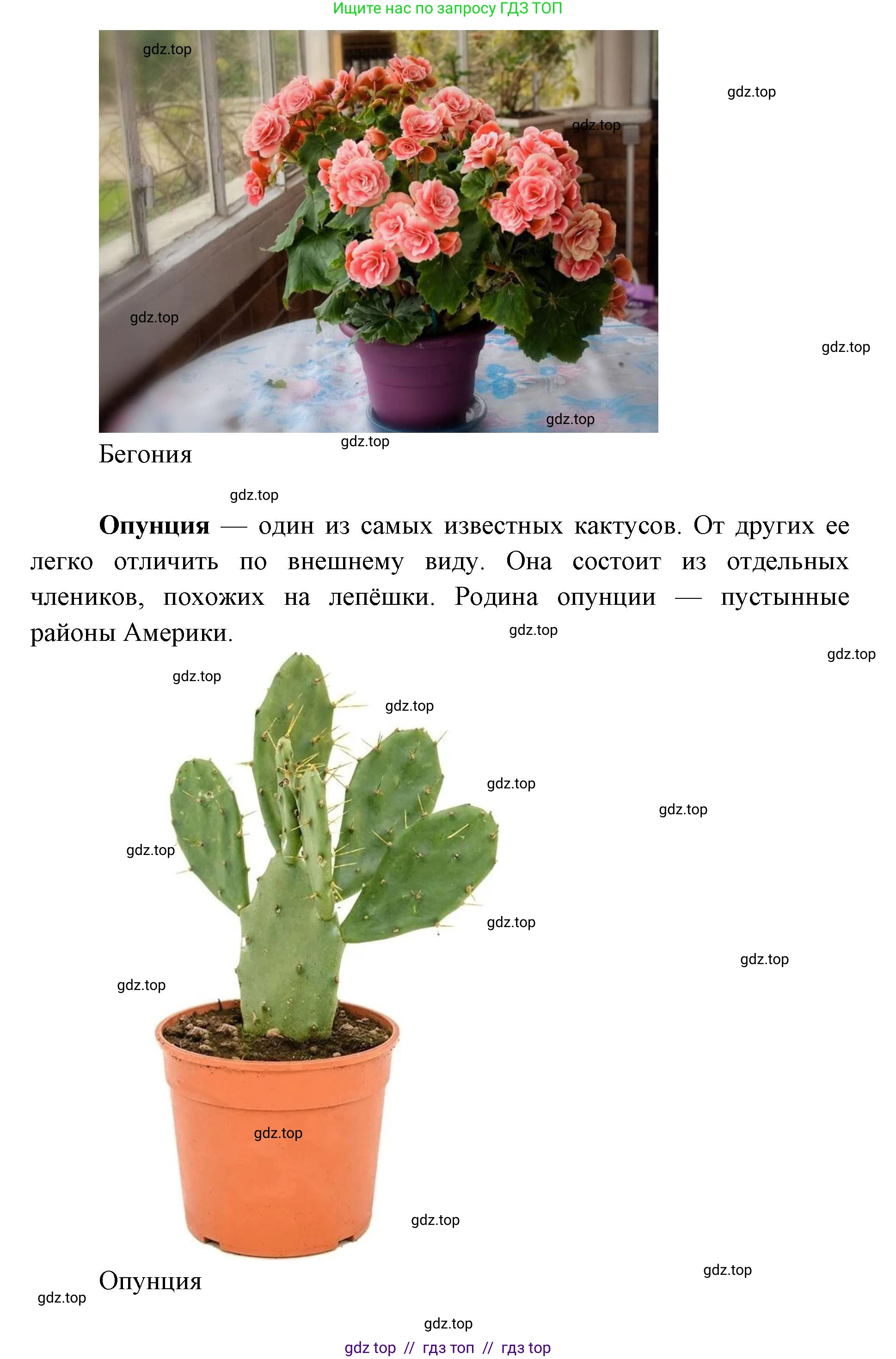 Окружающий мир, 1 класс Учебник, автор: Плешаков Андрей Анатольевич, издательство Просвещение, Москва, 2023, белого цвета, Часть 1, страница 24, Решение 2 (продолжение 3)