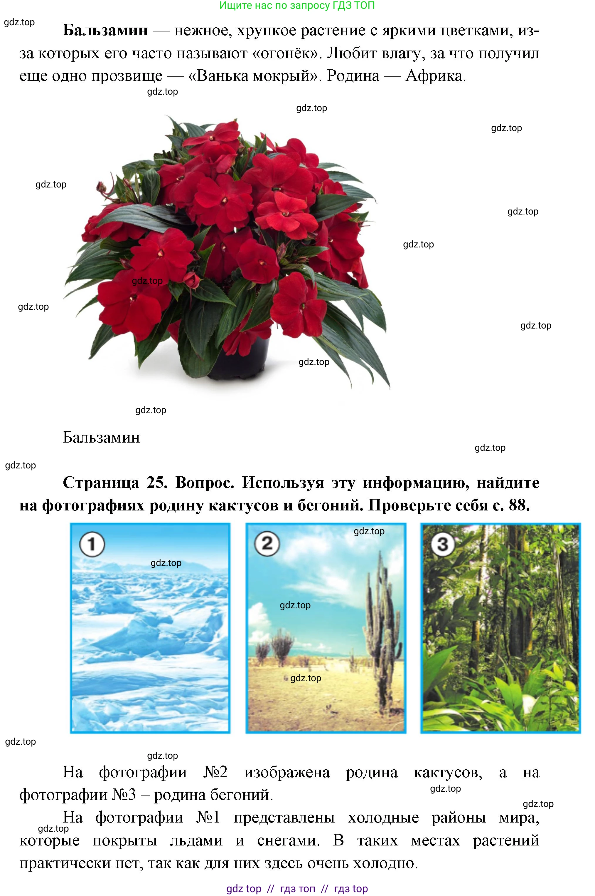 Окружающий мир, 1 класс Учебник, автор: Плешаков Андрей Анатольевич, издательство Просвещение, Москва, 2023, белого цвета, Часть 1, страница 24, Решение 2 (продолжение 4)