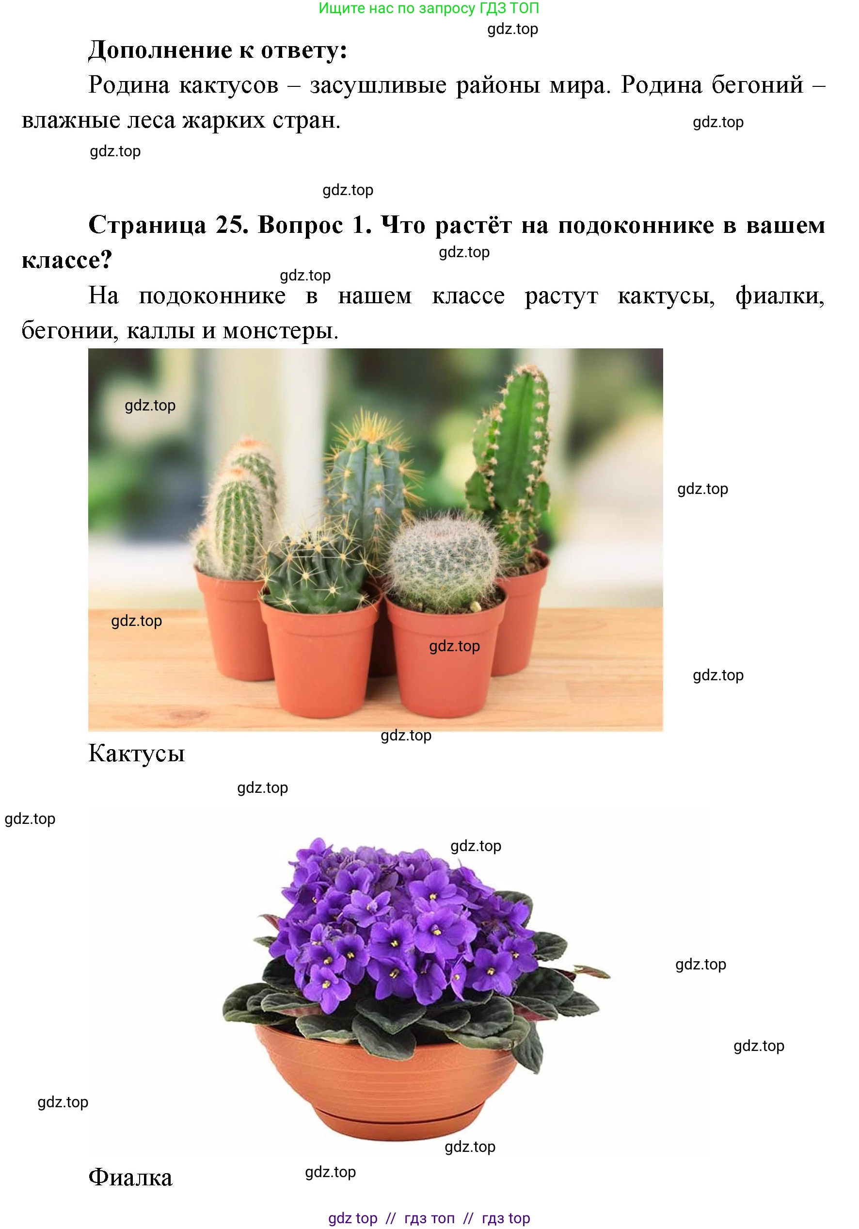 Окружающий мир, 1 класс Учебник, автор: Плешаков Андрей Анатольевич, издательство Просвещение, Москва, 2023, белого цвета, Часть 1, страница 24, Решение 2 (продолжение 5)