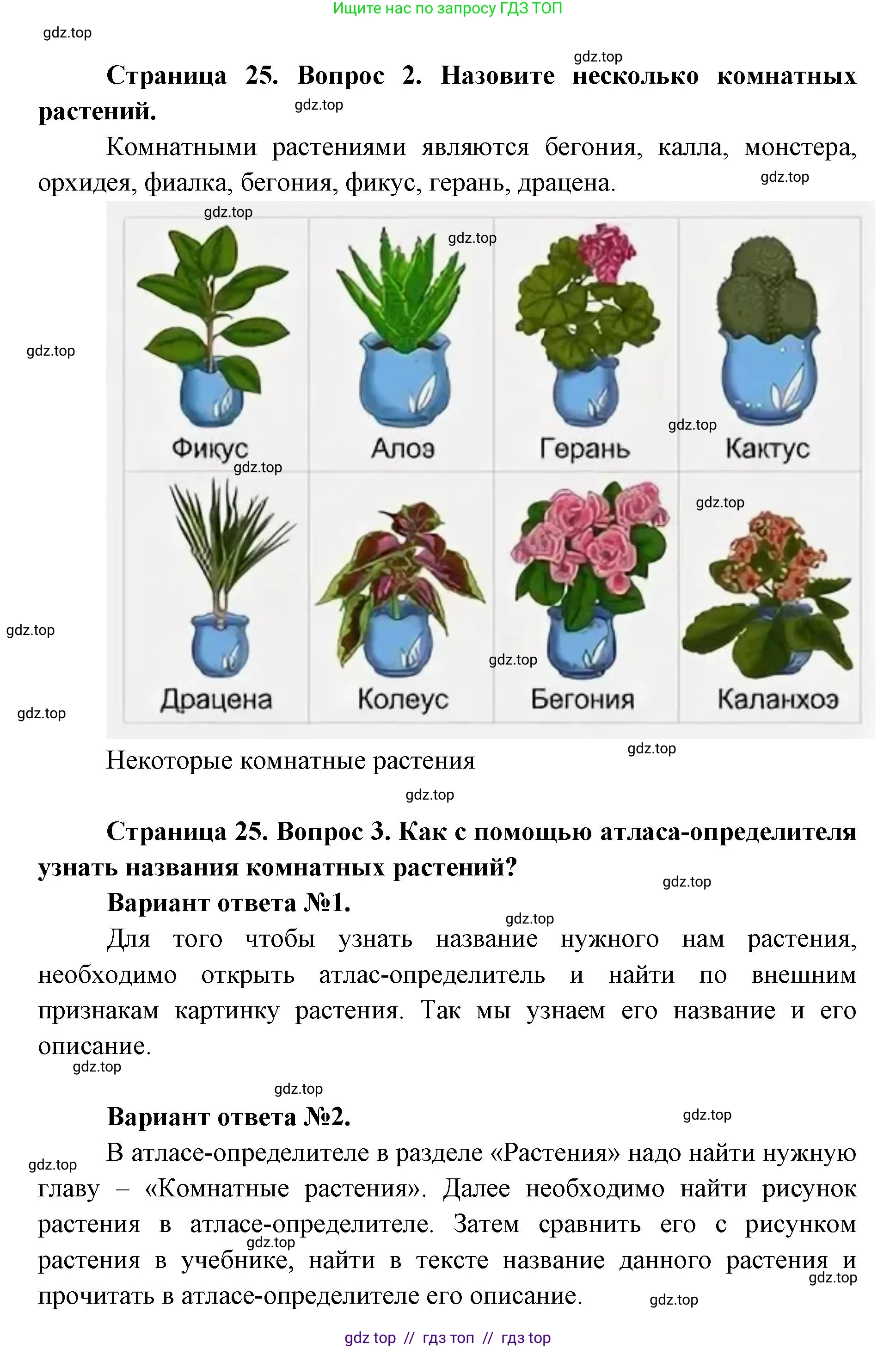 Окружающий мир, 1 класс Учебник, автор: Плешаков Андрей Анатольевич, издательство Просвещение, Москва, 2023, белого цвета, Часть 1, страница 24, Решение 2 (продолжение 7)