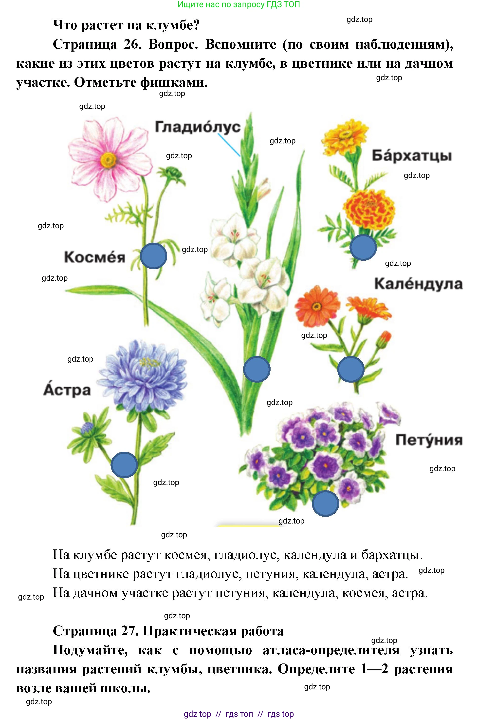 Окружающий мир, 1 класс Учебник, автор: Плешаков Андрей Анатольевич, издательство Просвещение, Москва, 2023, белого цвета, Часть 1, страница 26, Решение 2