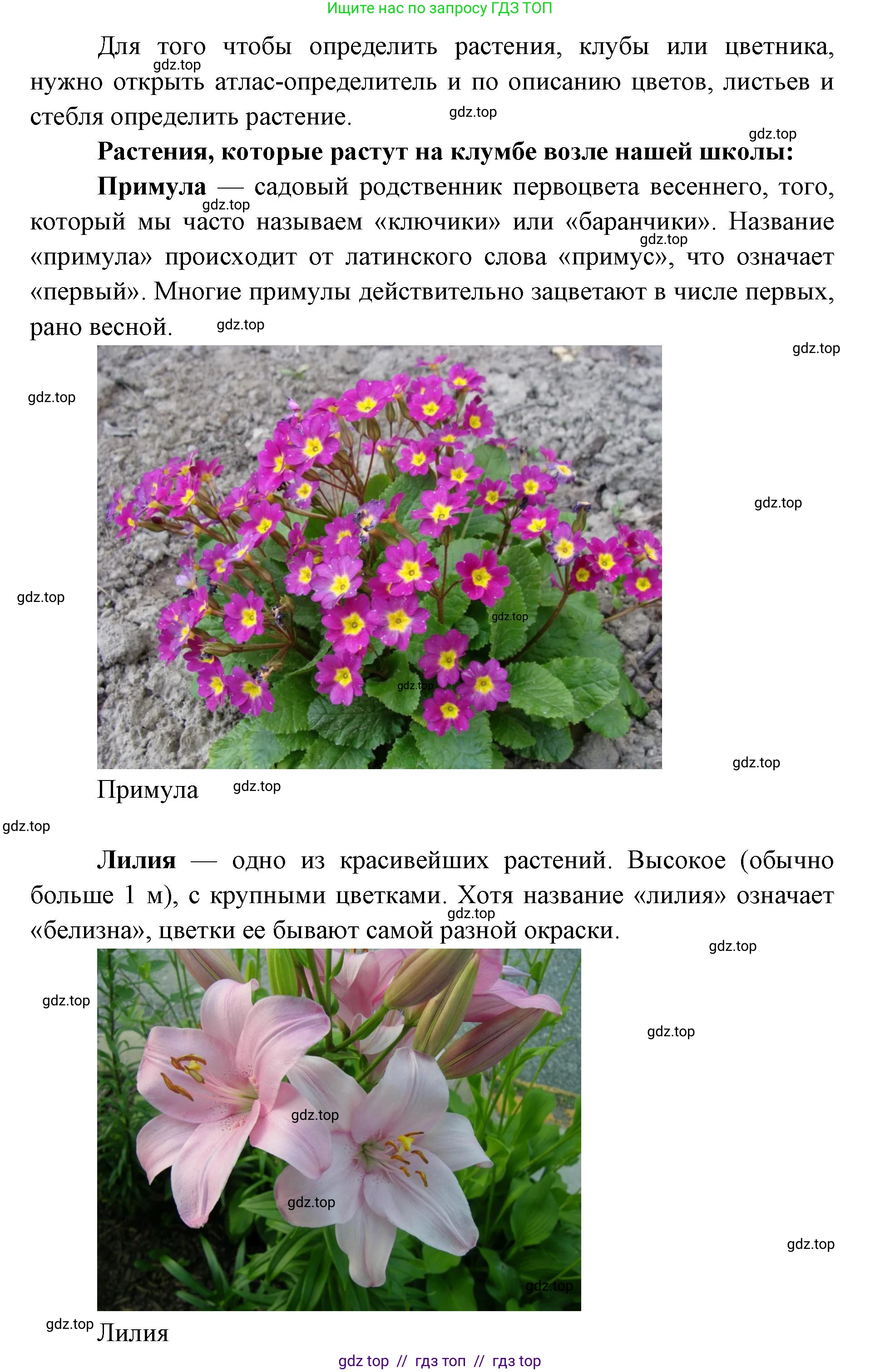 Окружающий мир, 1 класс Учебник, автор: Плешаков Андрей Анатольевич, издательство Просвещение, Москва, 2023, белого цвета, Часть 1, страница 26, Решение 2 (продолжение 2)