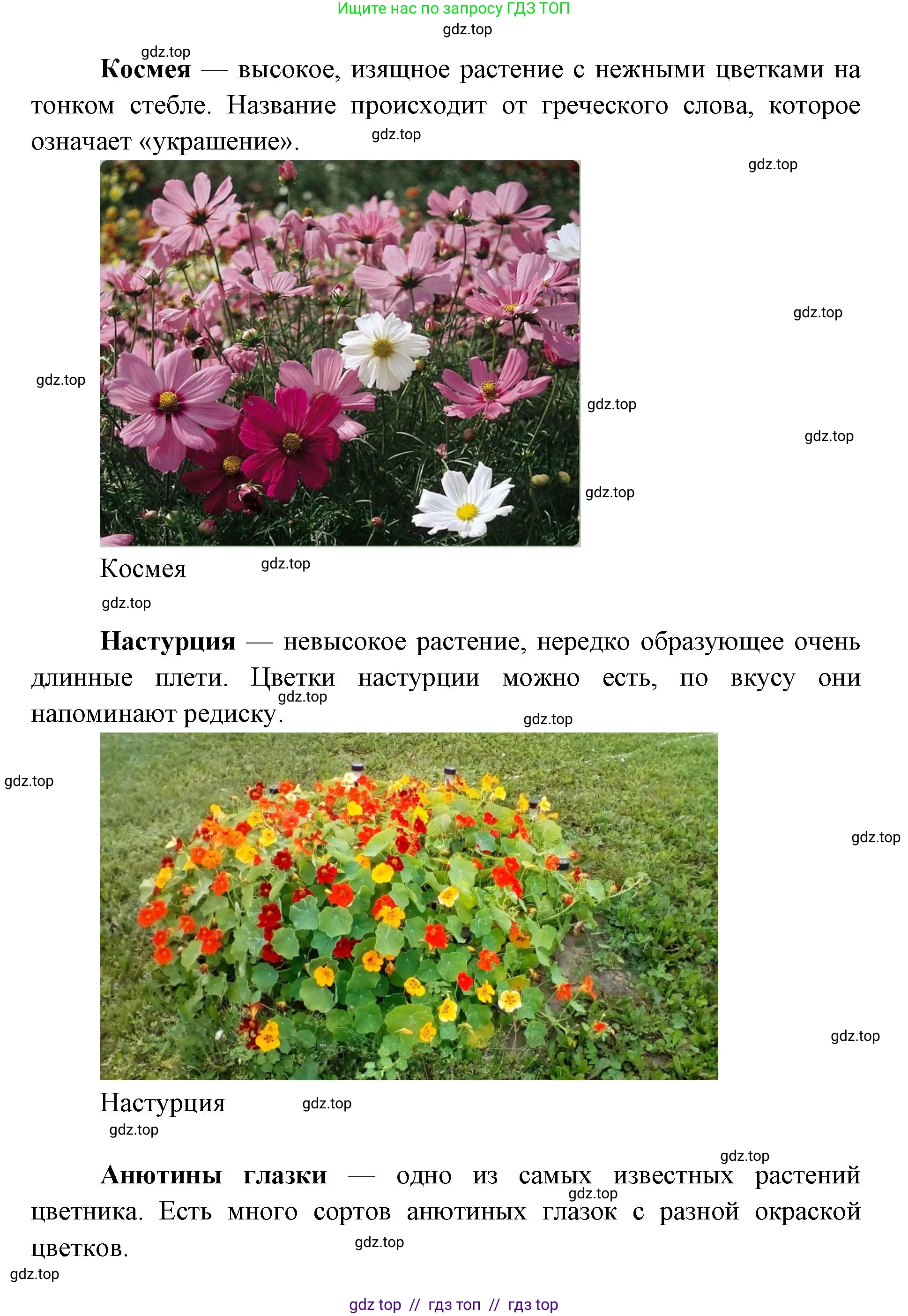 Окружающий мир, 1 класс Учебник, автор: Плешаков Андрей Анатольевич, издательство Просвещение, Москва, 2023, белого цвета, Часть 1, страница 26, Решение 2 (продолжение 3)