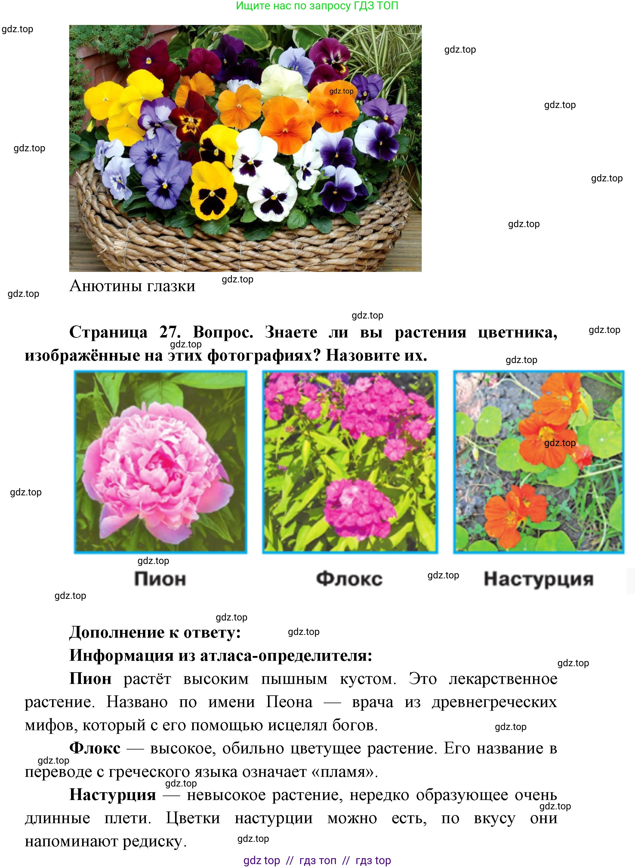 Окружающий мир, 1 класс Учебник, автор: Плешаков Андрей Анатольевич, издательство Просвещение, Москва, 2023, белого цвета, Часть 1, страница 26, Решение 2 (продолжение 4)