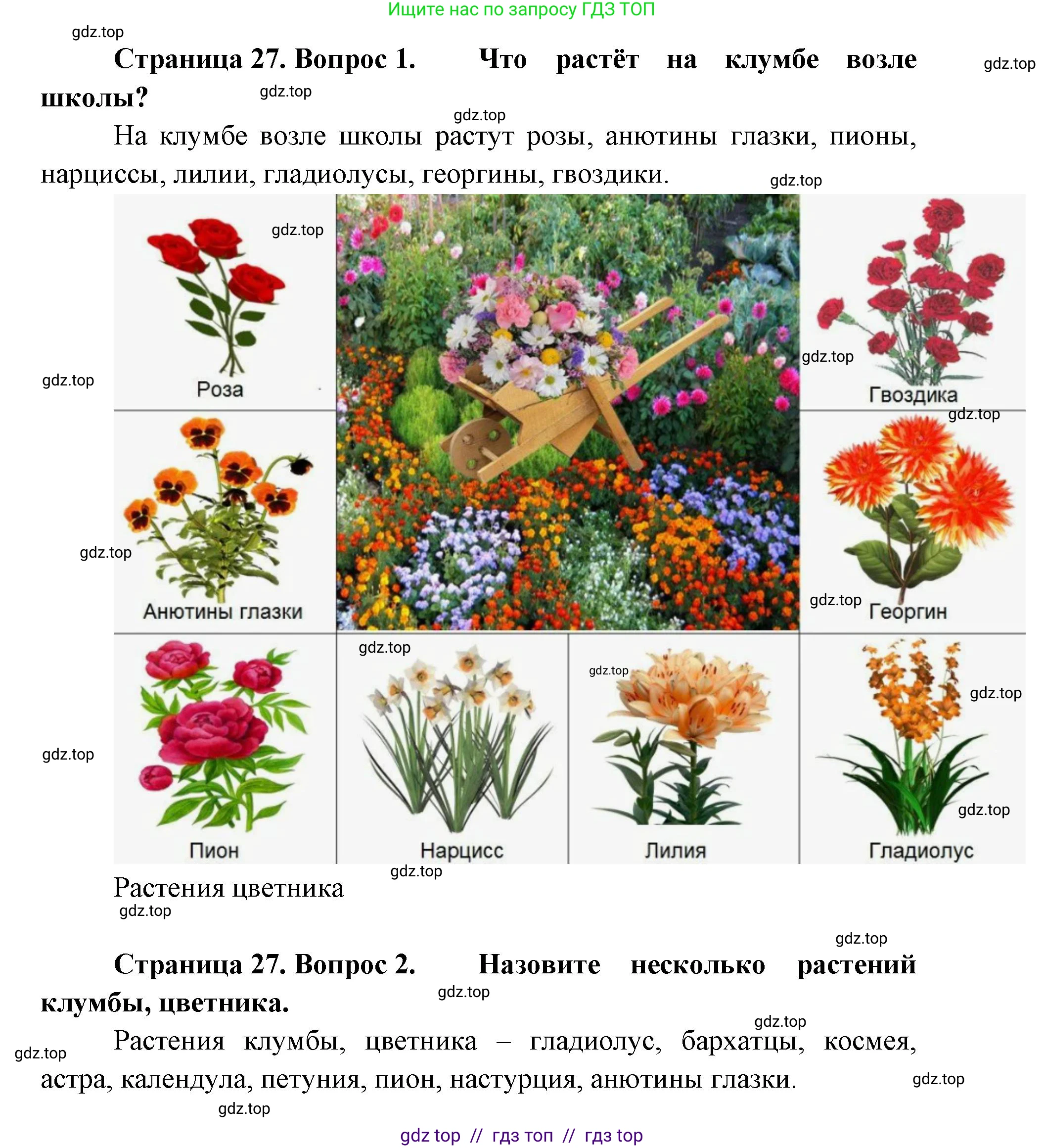 Окружающий мир, 1 класс Учебник, автор: Плешаков Андрей Анатольевич, издательство Просвещение, Москва, 2023, белого цвета, Часть 1, страница 26, Решение 2 (продолжение 5)