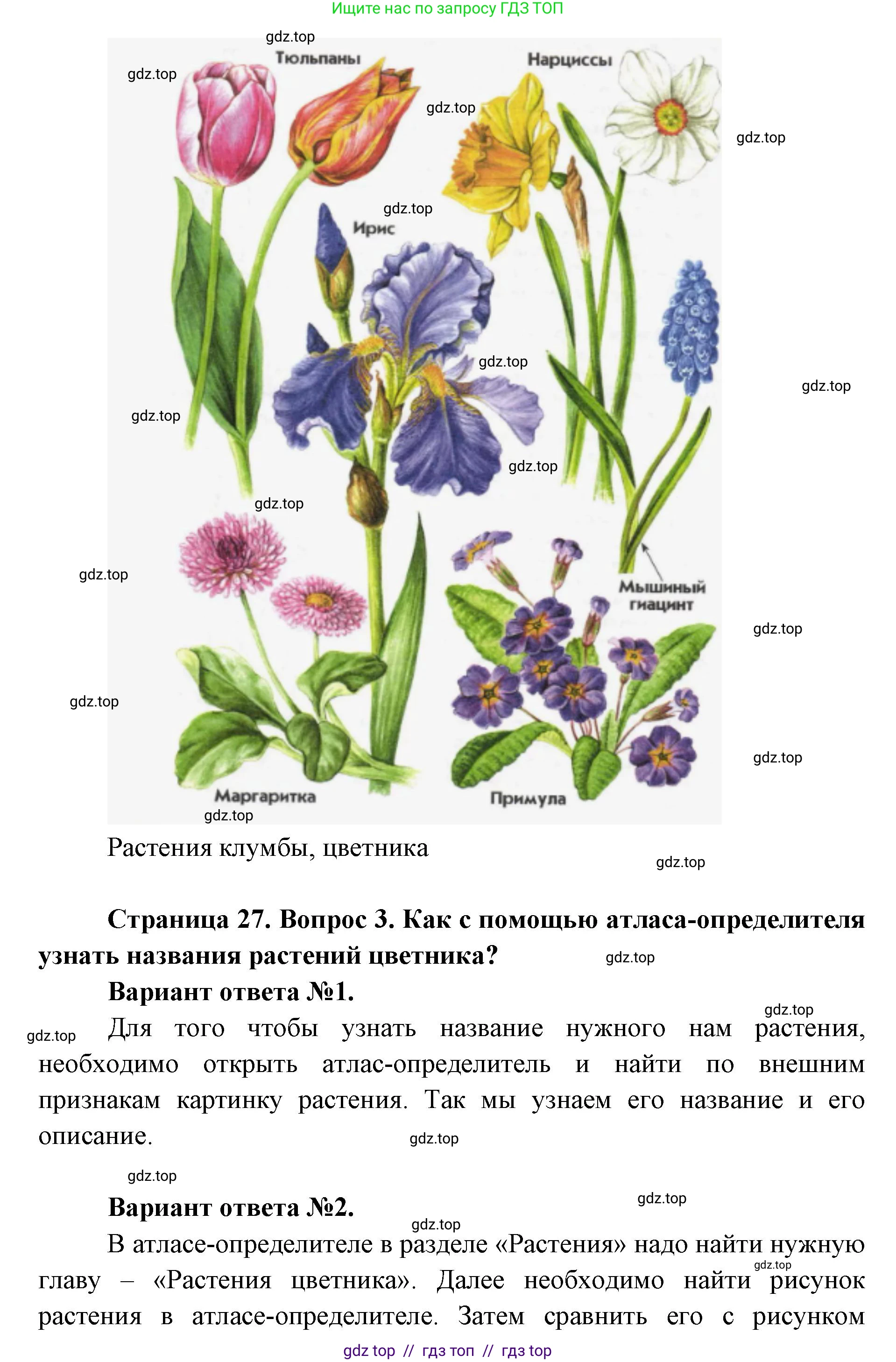 Окружающий мир, 1 класс Учебник, автор: Плешаков Андрей Анатольевич, издательство Просвещение, Москва, 2023, белого цвета, Часть 1, страница 26, Решение 2 (продолжение 7)