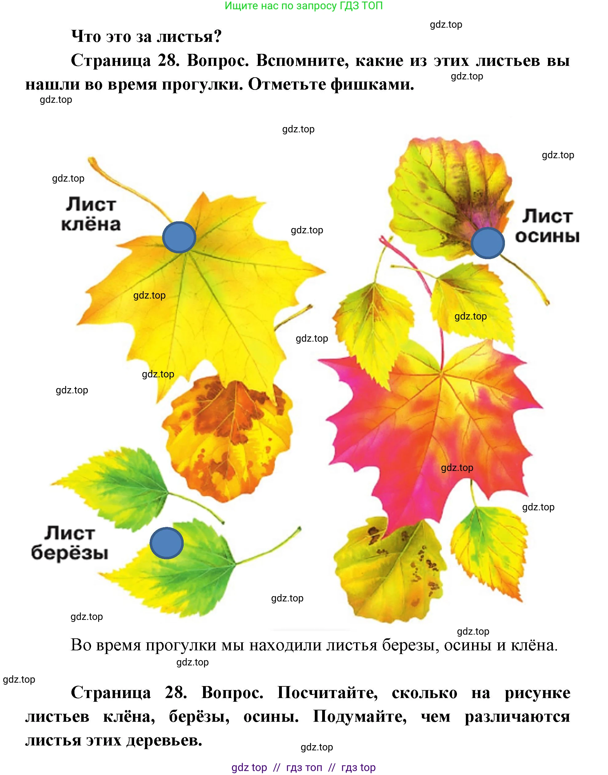 Окружающий мир, 1 класс Учебник, автор: Плешаков Андрей Анатольевич, издательство Просвещение, Москва, 2023, белого цвета, Часть 1, страница 28, Решение 2