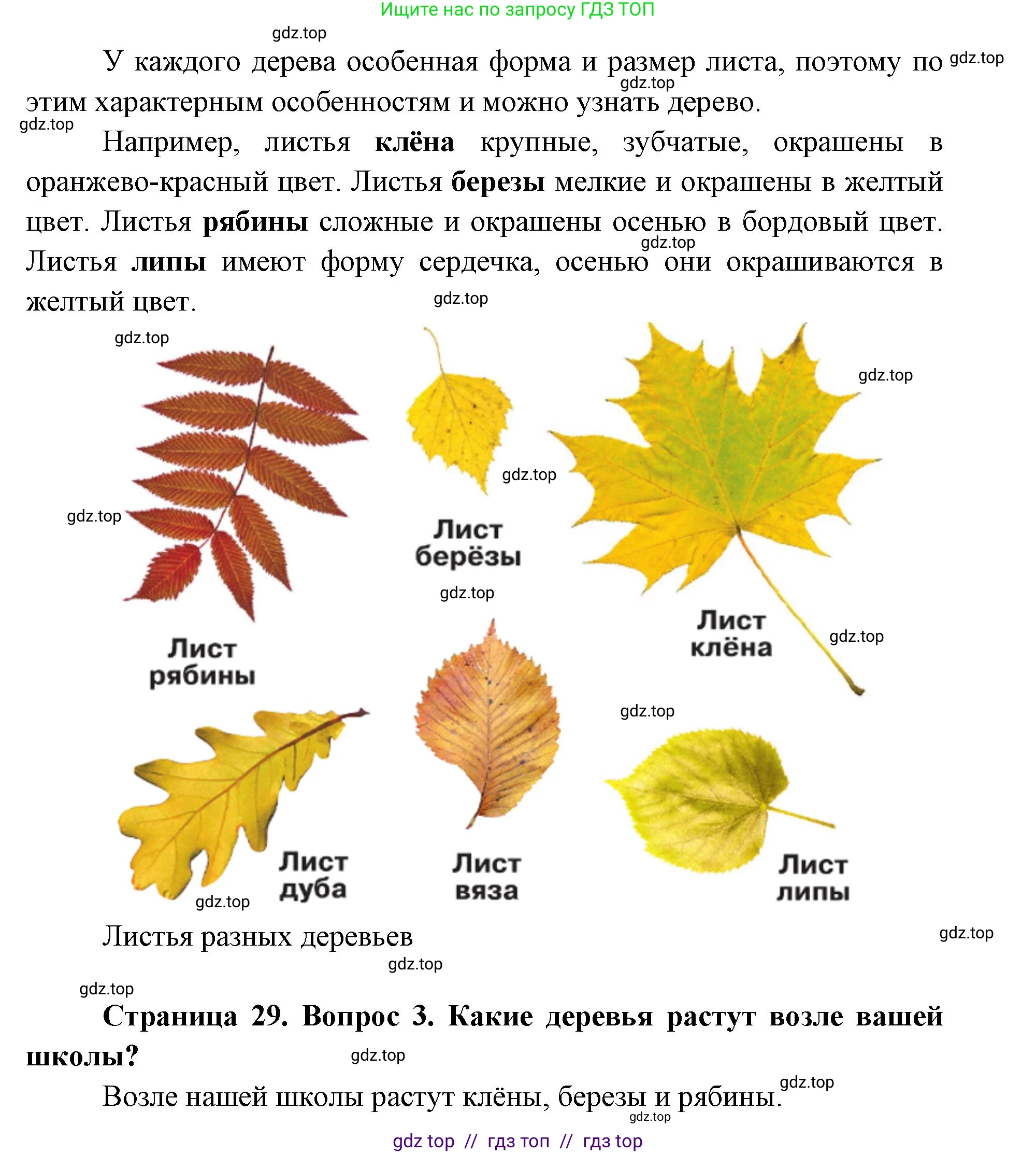 Окружающий мир, 1 класс Учебник, автор: Плешаков Андрей Анатольевич, издательство Просвещение, Москва, 2023, белого цвета, Часть 1, страница 28, Решение 2 (продолжение 6)