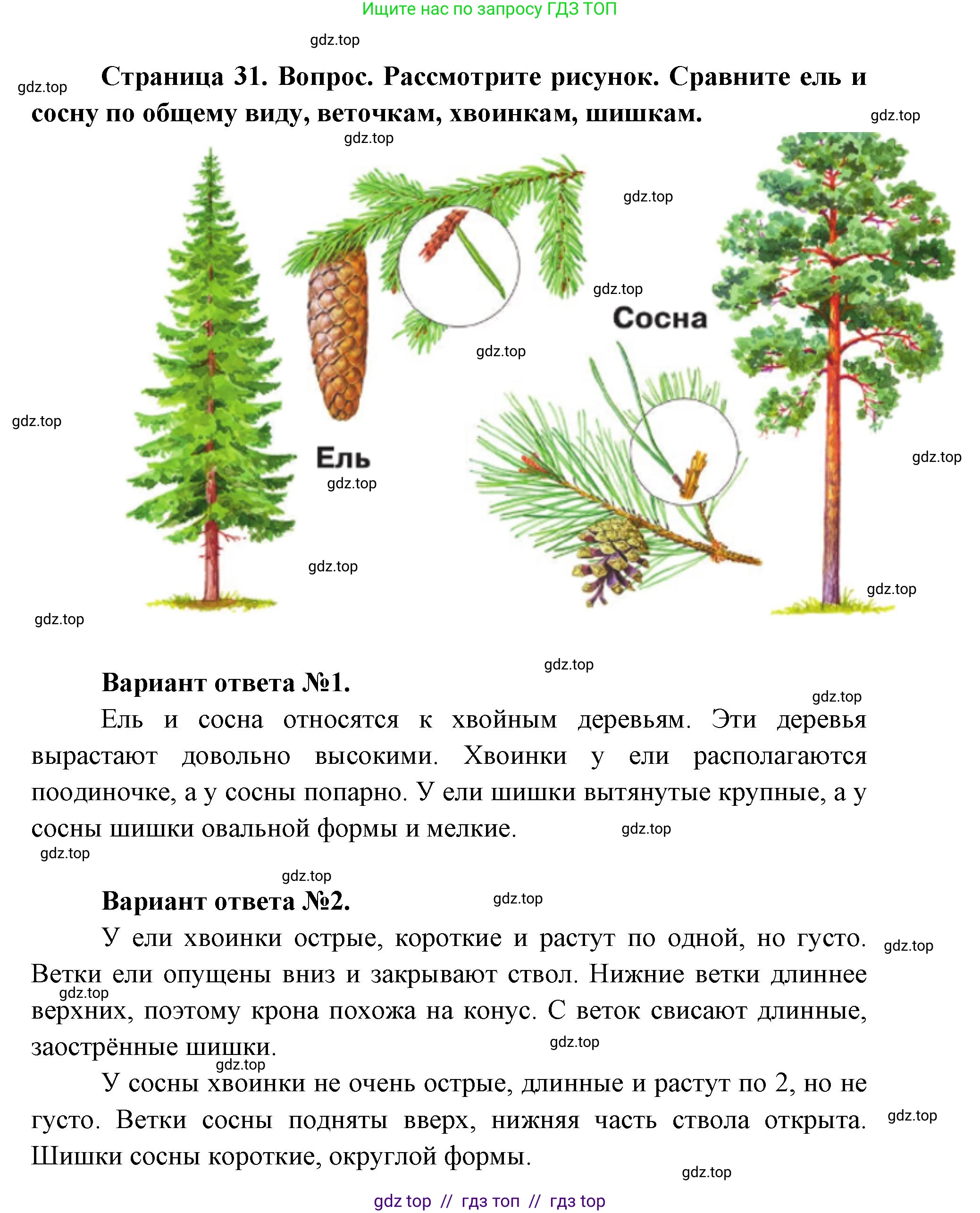 Окружающий мир, 1 класс Учебник, автор: Плешаков Андрей Анатольевич, издательство Просвещение, Москва, 2023, белого цвета, Часть 1, страница 30, Решение 2 (продолжение 4)