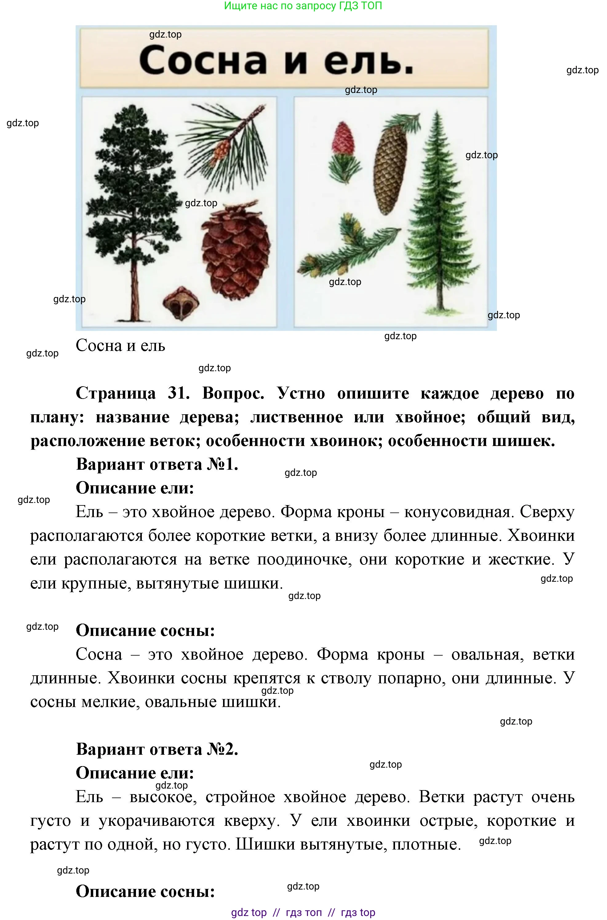 Окружающий мир, 1 класс Учебник, автор: Плешаков Андрей Анатольевич, издательство Просвещение, Москва, 2023, белого цвета, Часть 1, страница 30, Решение 2 (продолжение 5)