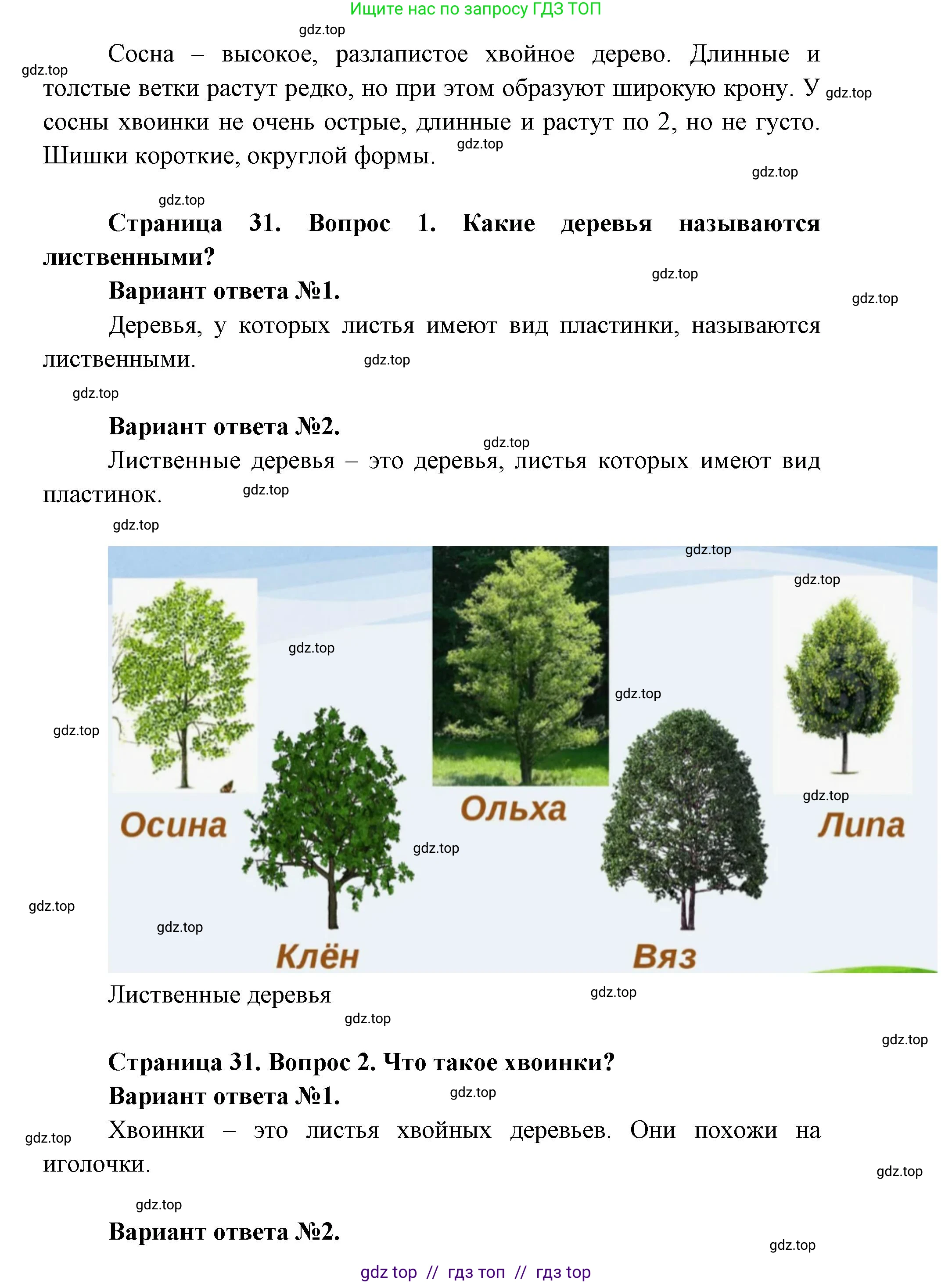 Окружающий мир, 1 класс Учебник, автор: Плешаков Андрей Анатольевич, издательство Просвещение, Москва, 2023, белого цвета, Часть 1, страница 30, Решение 2 (продолжение 6)