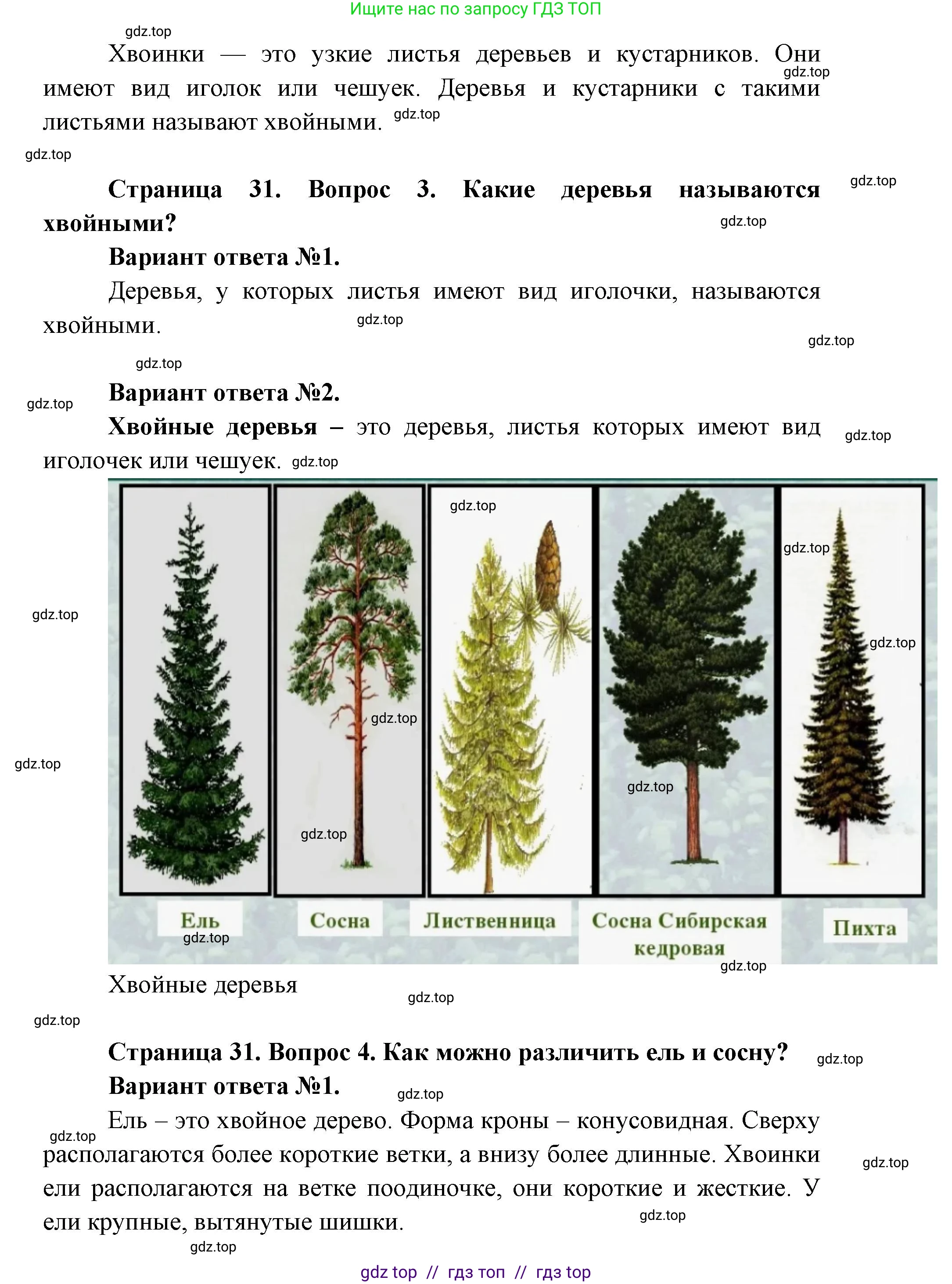 Окружающий мир, 1 класс Учебник, автор: Плешаков Андрей Анатольевич, издательство Просвещение, Москва, 2023, белого цвета, Часть 1, страница 30, Решение 2 (продолжение 7)
