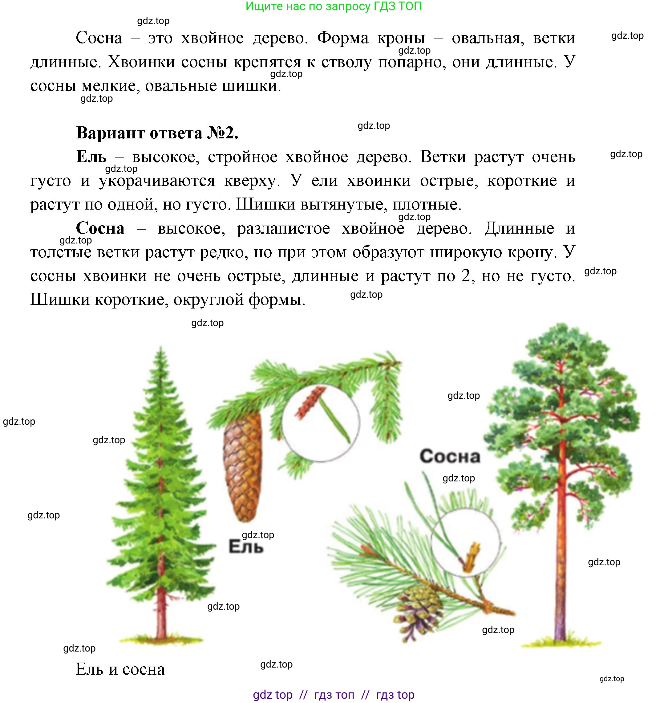 Окружающий мир, 1 класс Учебник, автор: Плешаков Андрей Анатольевич, издательство Просвещение, Москва, 2023, белого цвета, Часть 1, страница 30, Решение 2 (продолжение 8)