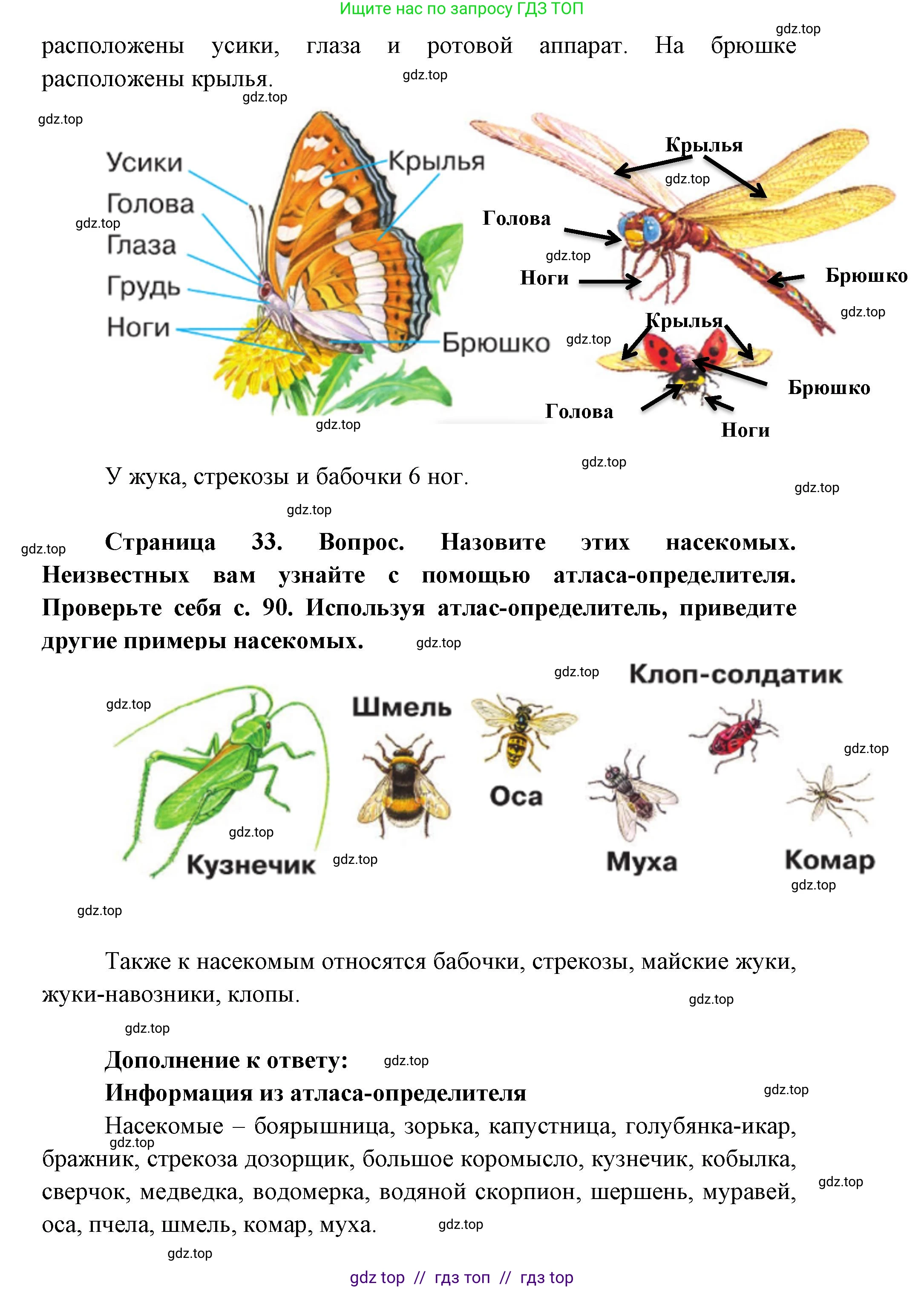 Окружающий мир, 1 класс Учебник, автор: Плешаков Андрей Анатольевич, издательство Просвещение, Москва, 2023, белого цвета, Часть 1, страница 32, Решение 2 (продолжение 2)