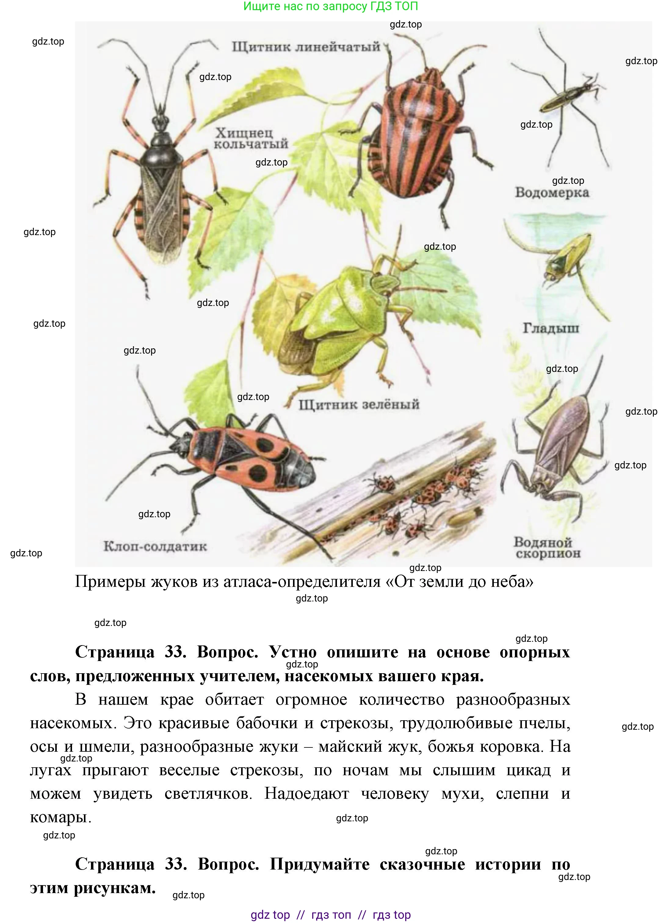 Окружающий мир, 1 класс Учебник, автор: Плешаков Андрей Анатольевич, издательство Просвещение, Москва, 2023, белого цвета, Часть 1, страница 32, Решение 2 (продолжение 3)