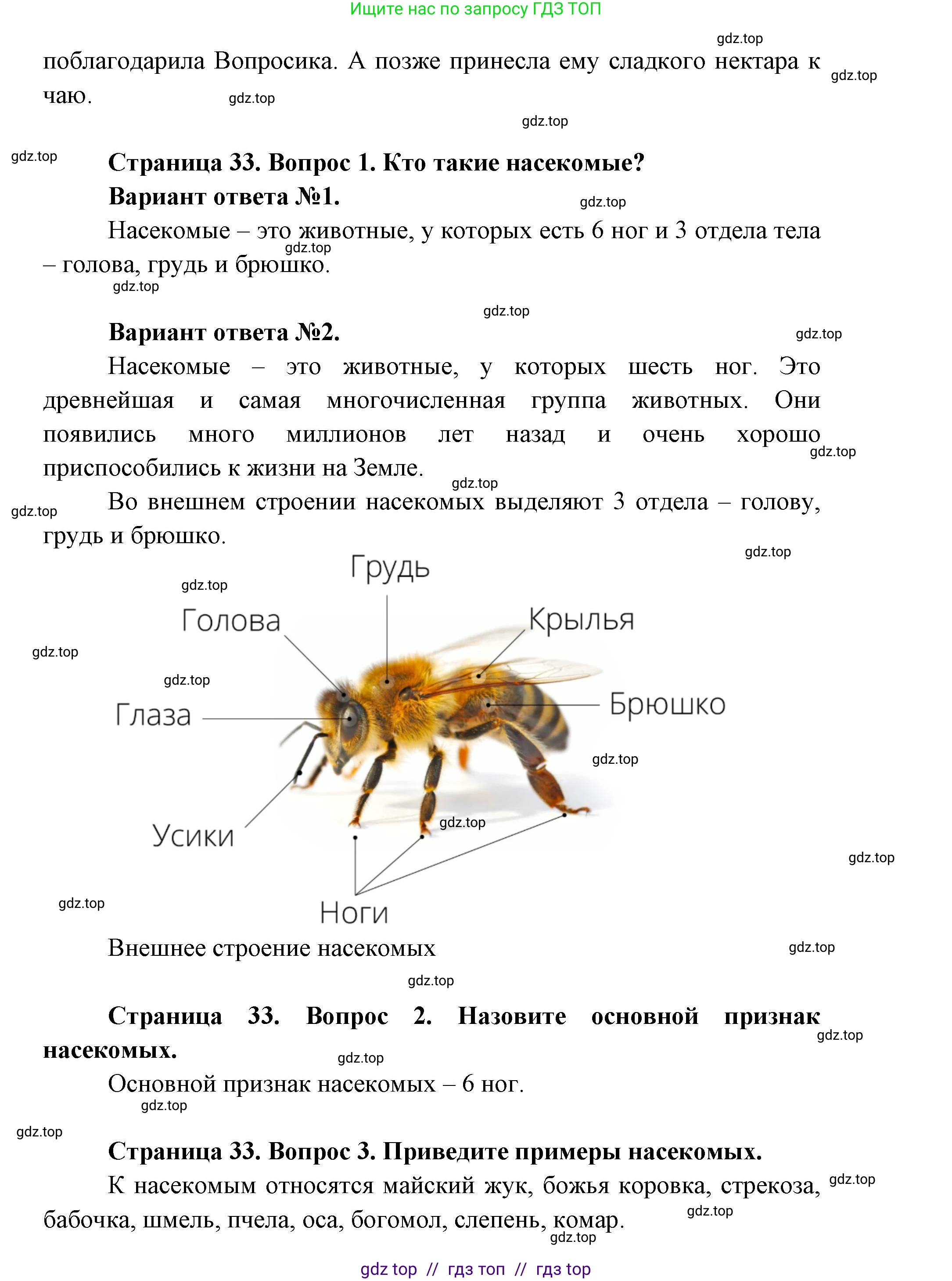 Окружающий мир, 1 класс Учебник, автор: Плешаков Андрей Анатольевич, издательство Просвещение, Москва, 2023, белого цвета, Часть 1, страница 32, Решение 2 (продолжение 5)