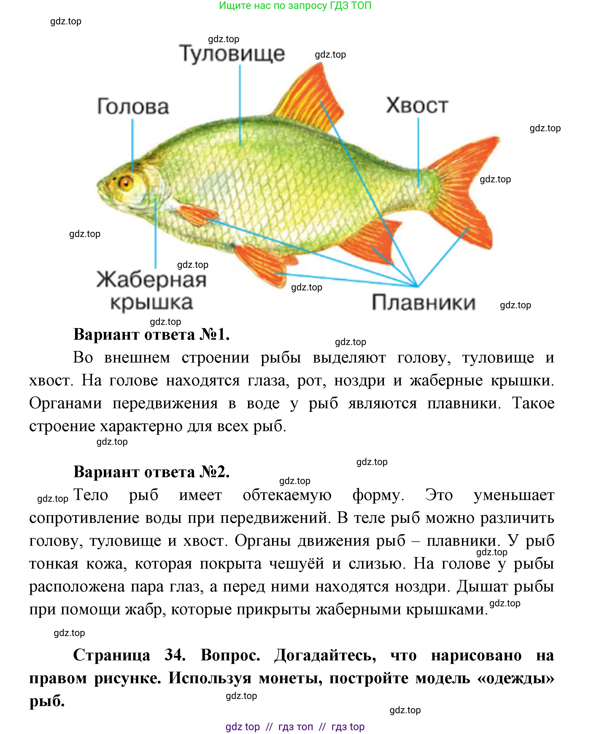 Окружающий мир, 1 класс Учебник, автор: Плешаков Андрей Анатольевич, издательство Просвещение, Москва, 2023, белого цвета, Часть 1, страница 34, Решение 2 (продолжение 2)