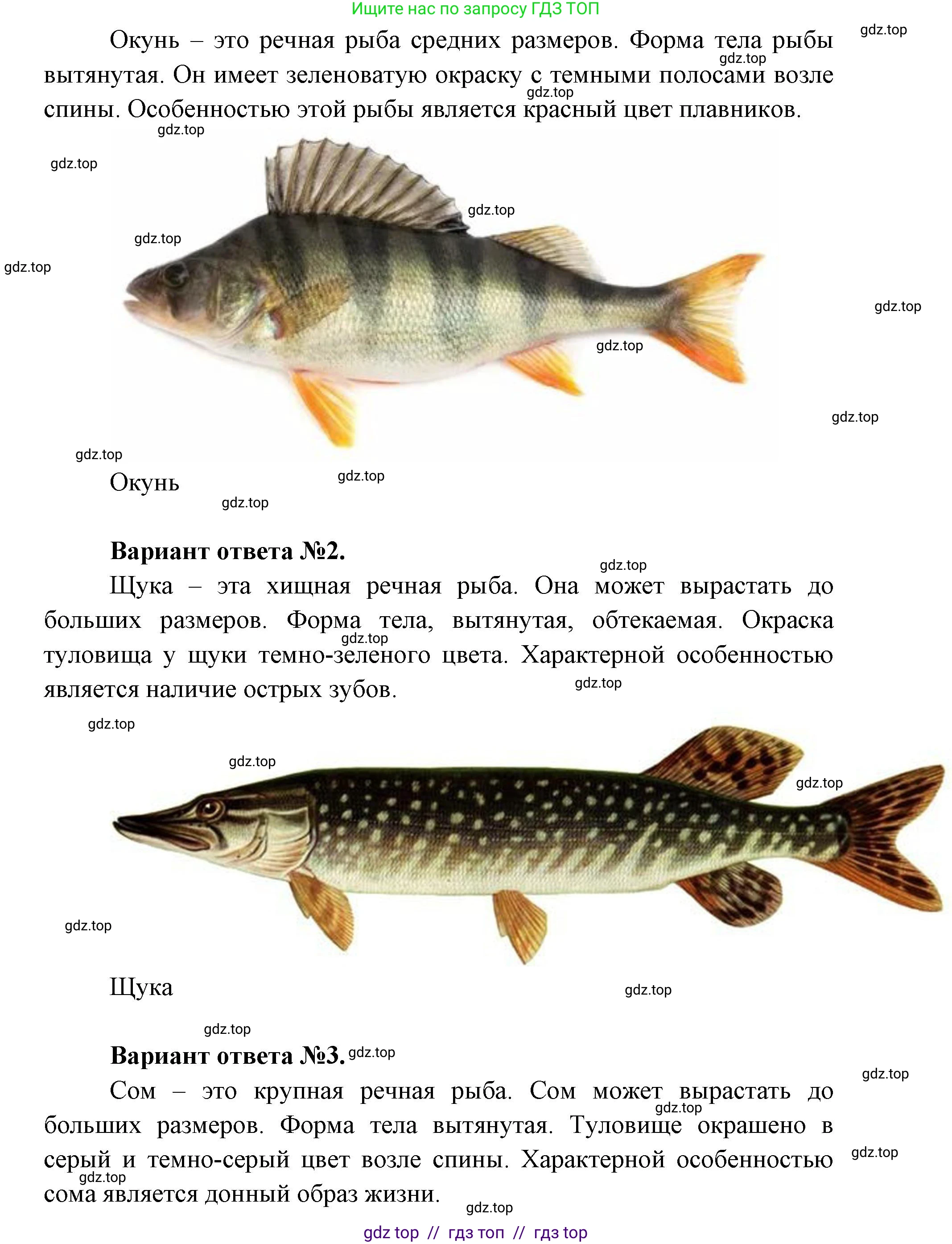 Окружающий мир, 1 класс Учебник, автор: Плешаков Андрей Анатольевич, издательство Просвещение, Москва, 2023, белого цвета, Часть 1, страница 34, Решение 2 (продолжение 5)
