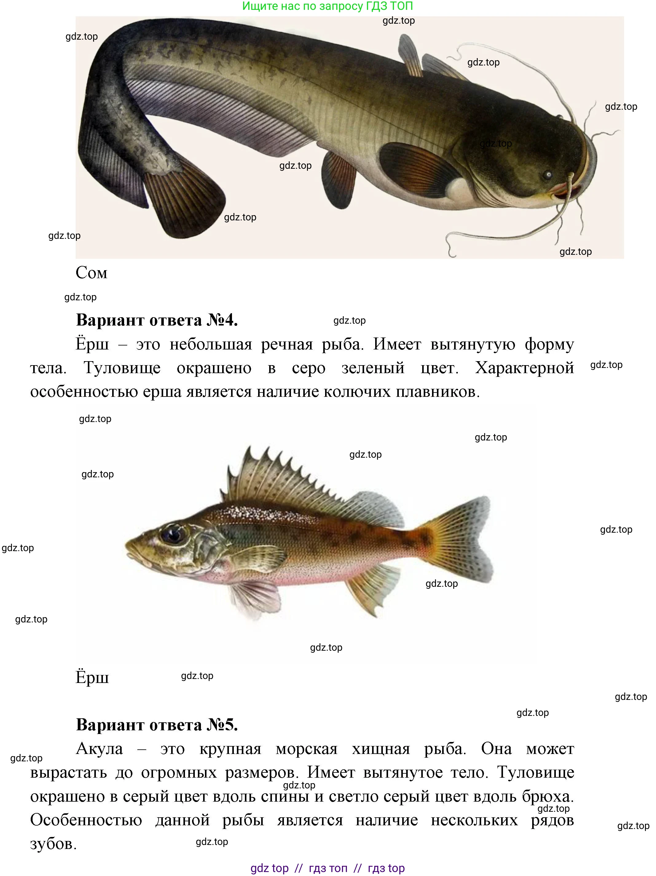 Окружающий мир, 1 класс Учебник, автор: Плешаков Андрей Анатольевич, издательство Просвещение, Москва, 2023, белого цвета, Часть 1, страница 34, Решение 2 (продолжение 6)