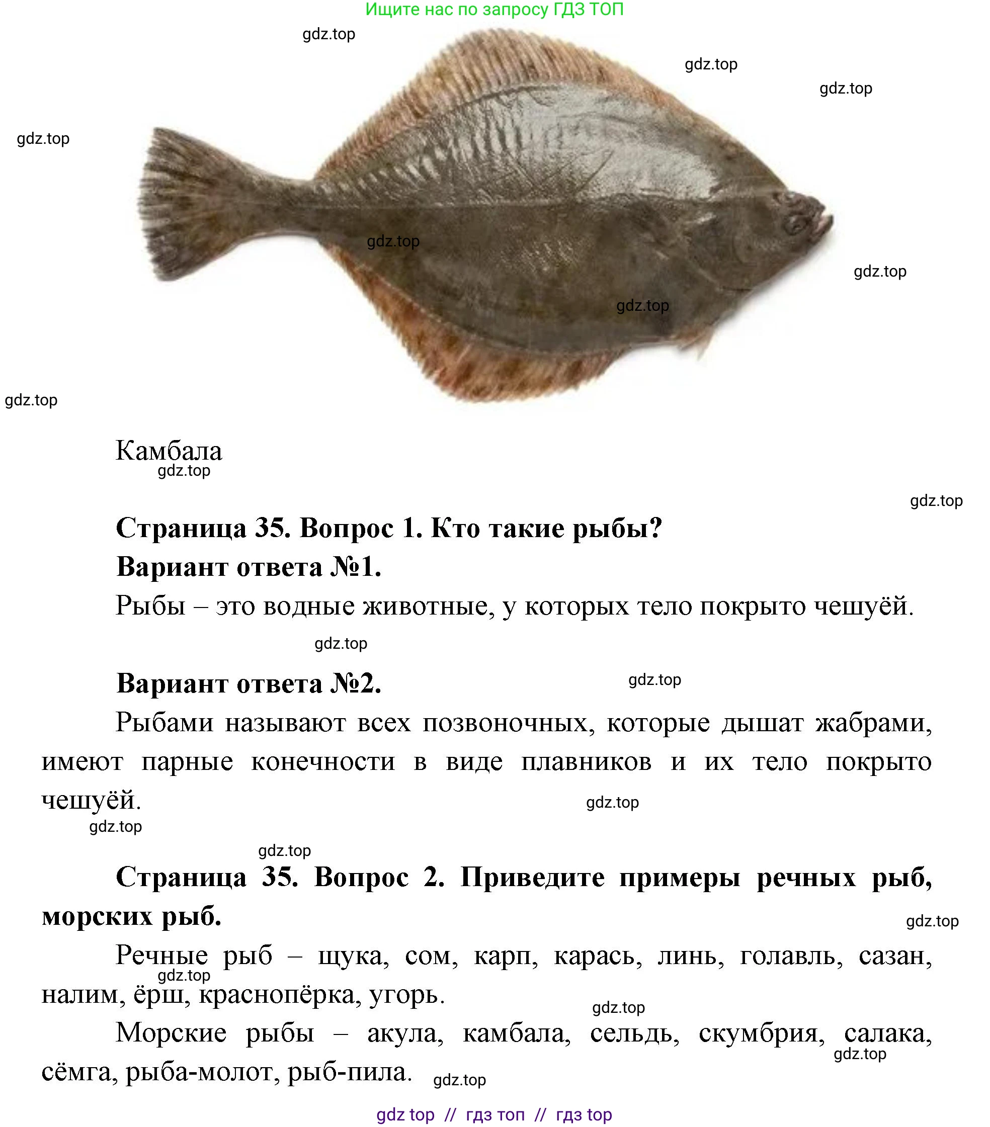 Окружающий мир, 1 класс Учебник, автор: Плешаков Андрей Анатольевич, издательство Просвещение, Москва, 2023, белого цвета, Часть 1, страница 34, Решение 2 (продолжение 8)